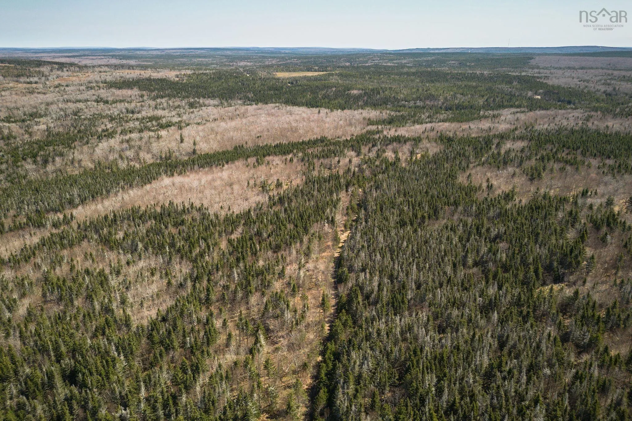 Highway 19, Creignish Ns B9a 1a8, ,Land,For Sale,Highway 19,202411781