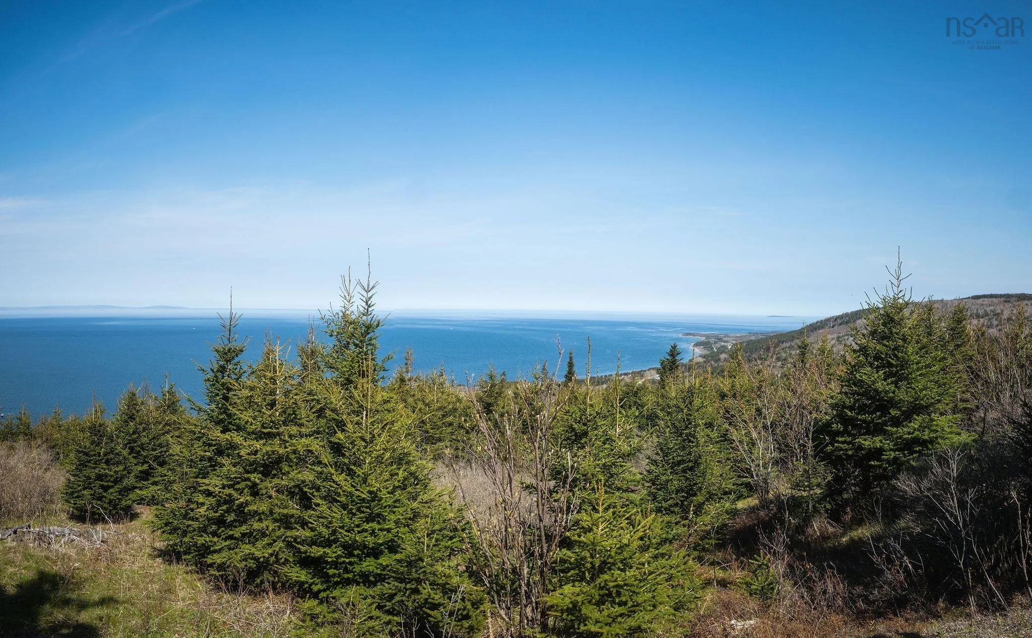 Highway 19, Creignish Ns B9a 1a8, ,Land,For Sale,Highway 19,202411781