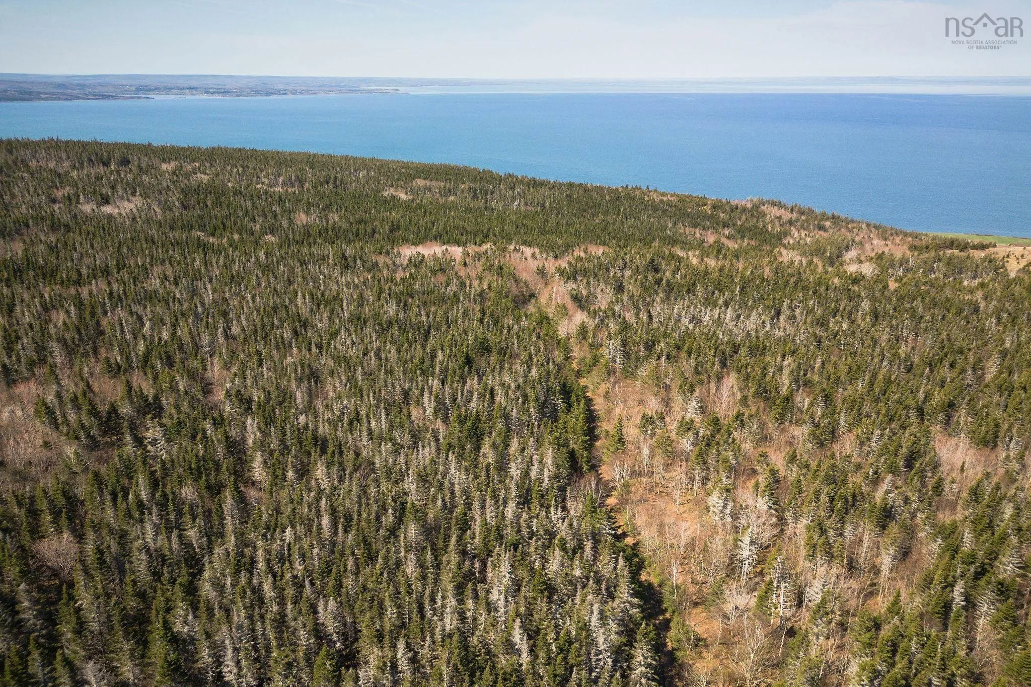 Highway 19, Creignish Ns B9a 1a8, ,Land,For Sale,Highway 19,202411781