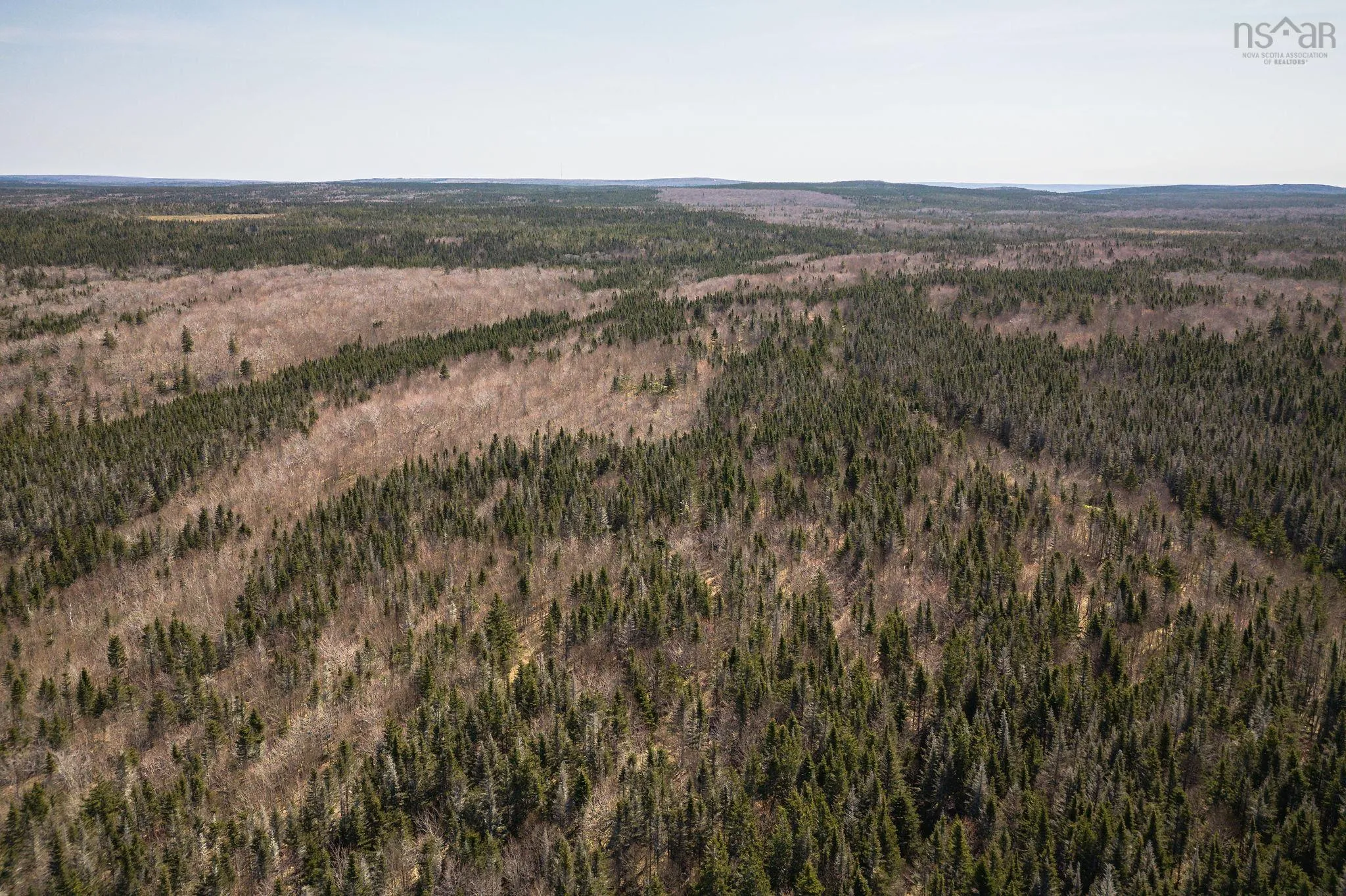 Highway 19, Creignish Ns B9a 1a8, ,Land,For Sale,Highway 19,202411781