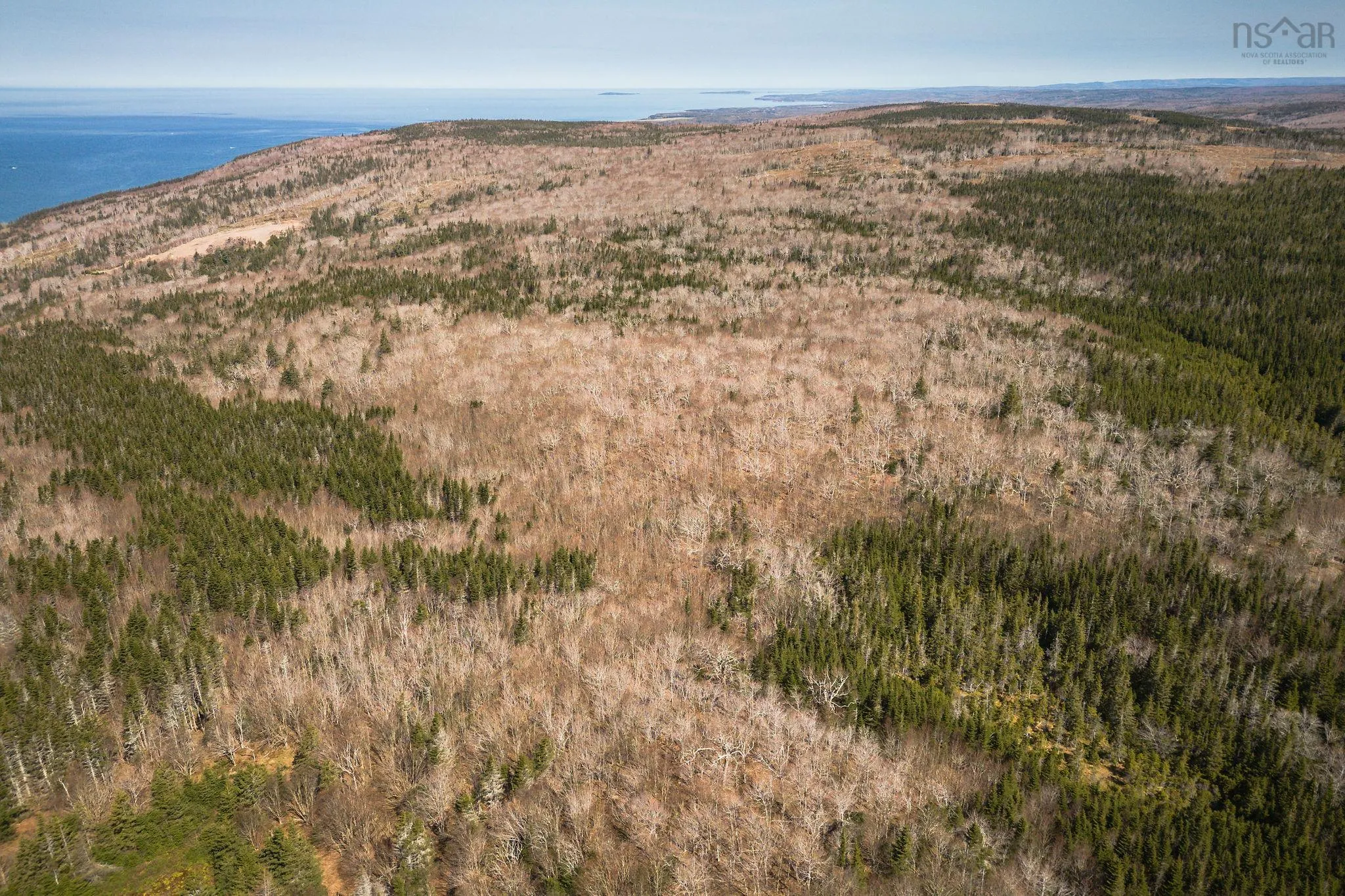 Highway 19, Creignish Ns B9a 1a8, ,Land,For Sale,Highway 19,202411781