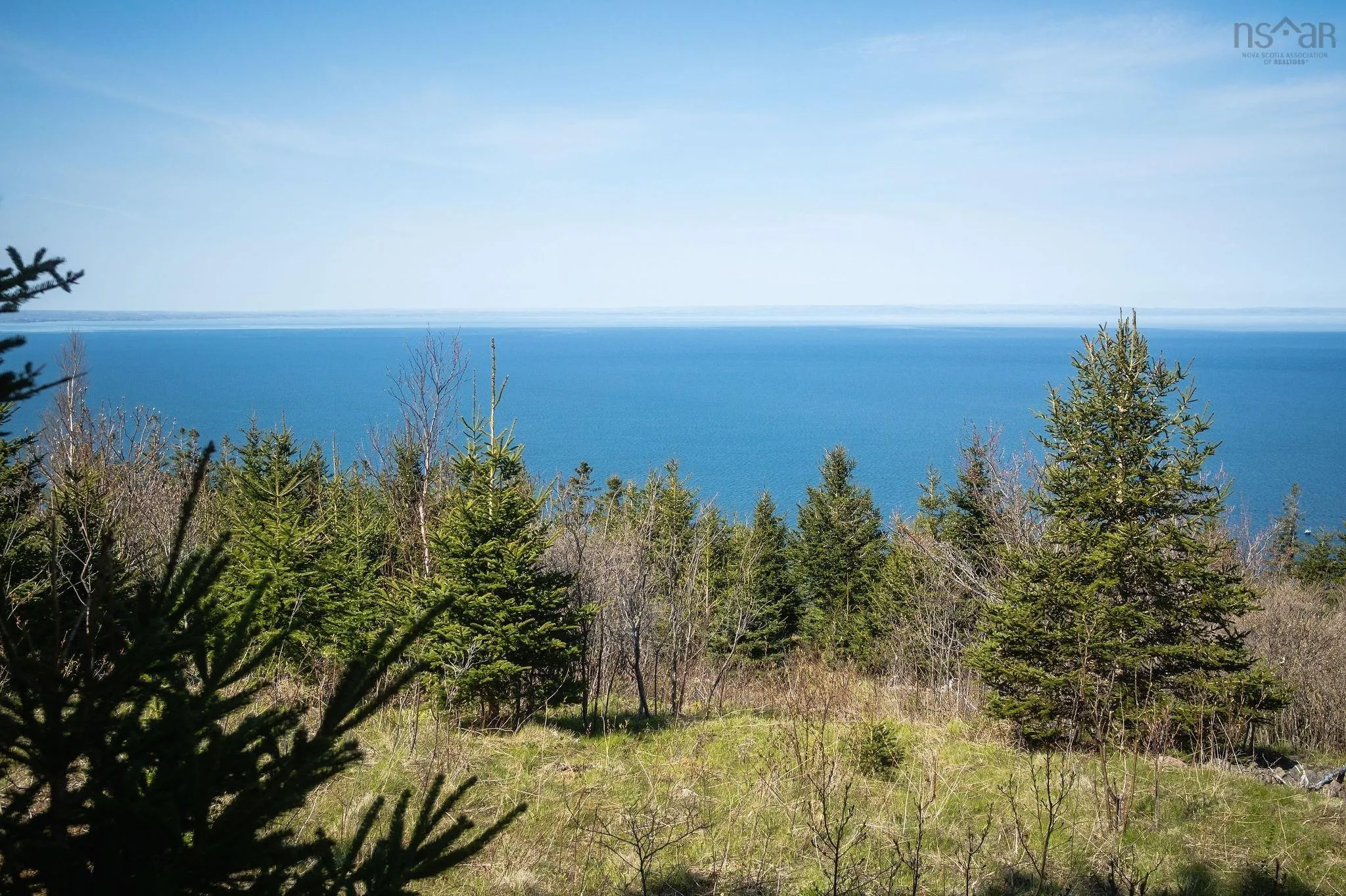 Highway 19, Creignish Ns B9a 1a8, ,Land,For Sale,Highway 19,202411781