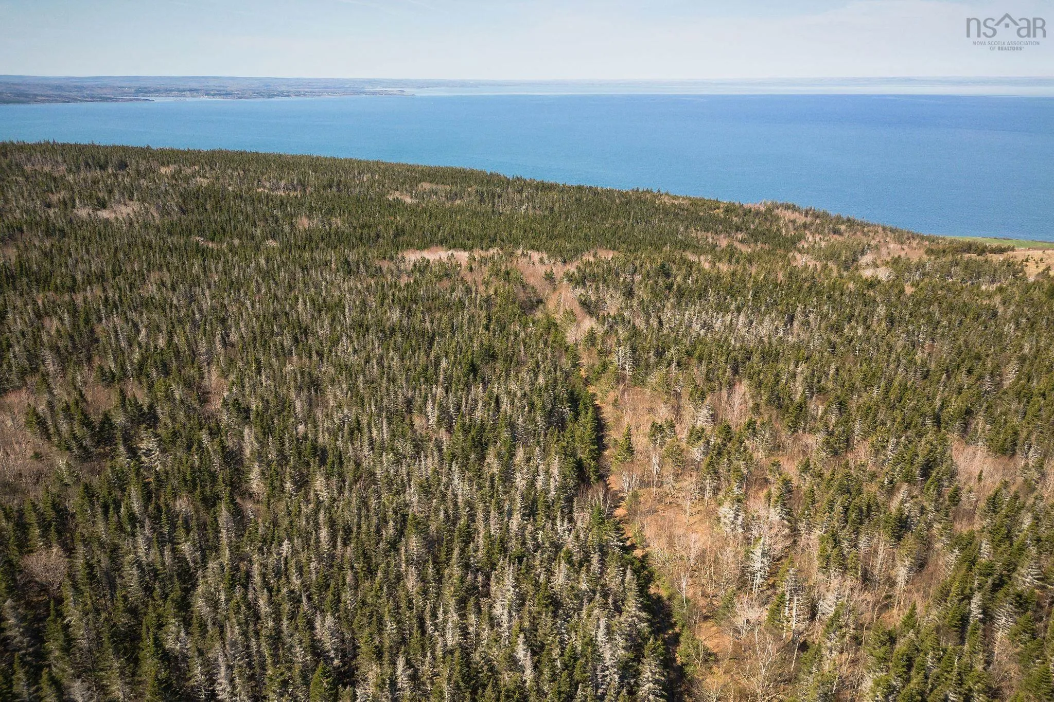 Highway 19, Creignish Ns B9a 1a8, ,Land,For Sale,Highway 19,202411781