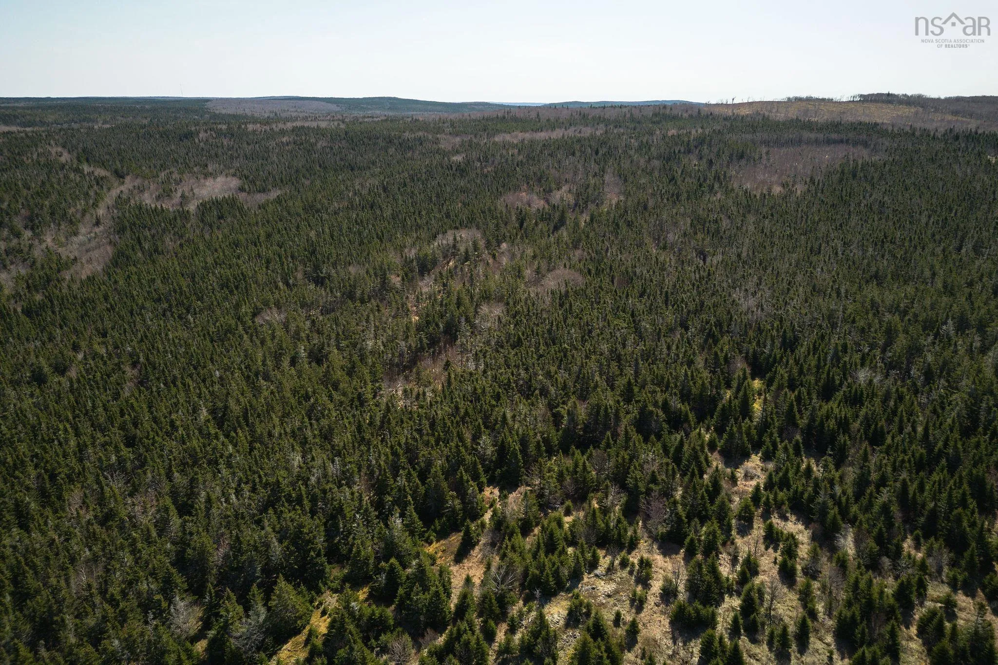 Highway 19, Creignish Ns B9a 1a8, ,Land,For Sale,Highway 19,202411781