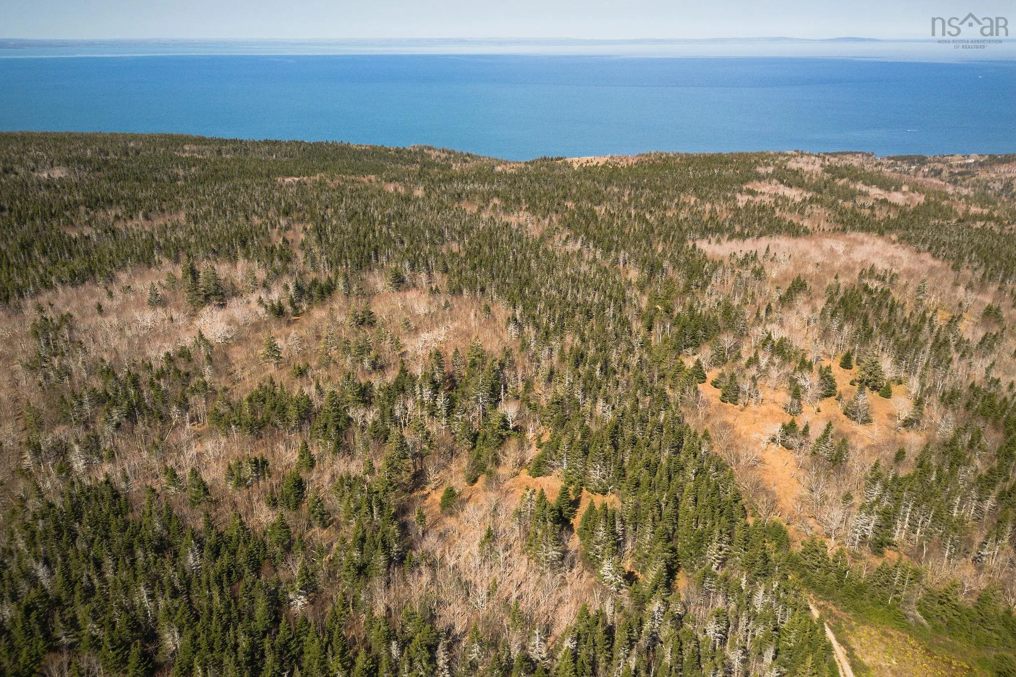 Highway 19, Creignish Ns B9a 1a8, ,Land,For Sale,Highway 19,202411781