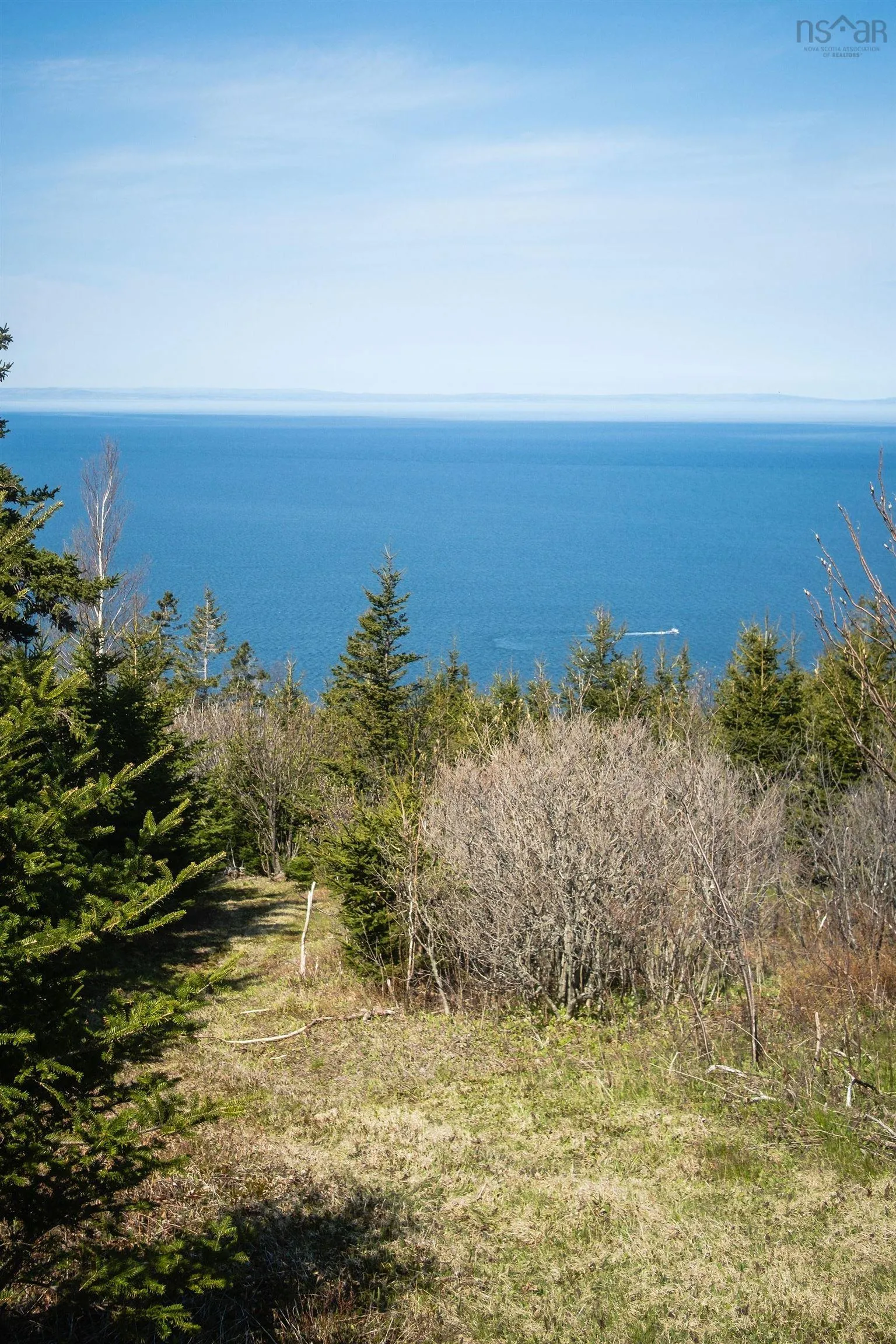 Highway 19, Creignish Ns B9a 1a8, ,Land,For Sale,Highway 19,202411781
