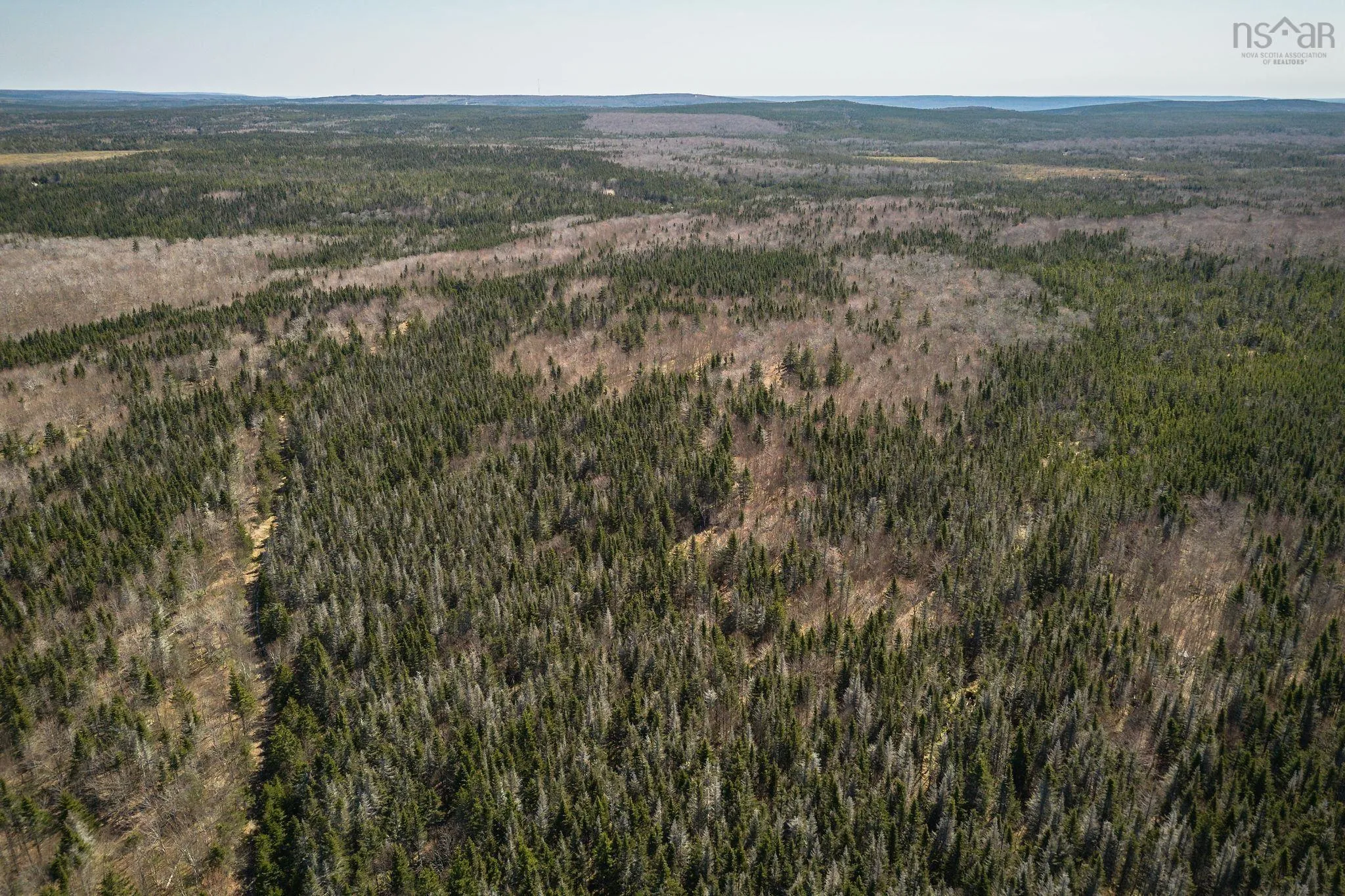 Highway 19, Creignish Ns B9a 1a8, ,Land,For Sale,Highway 19,202411781