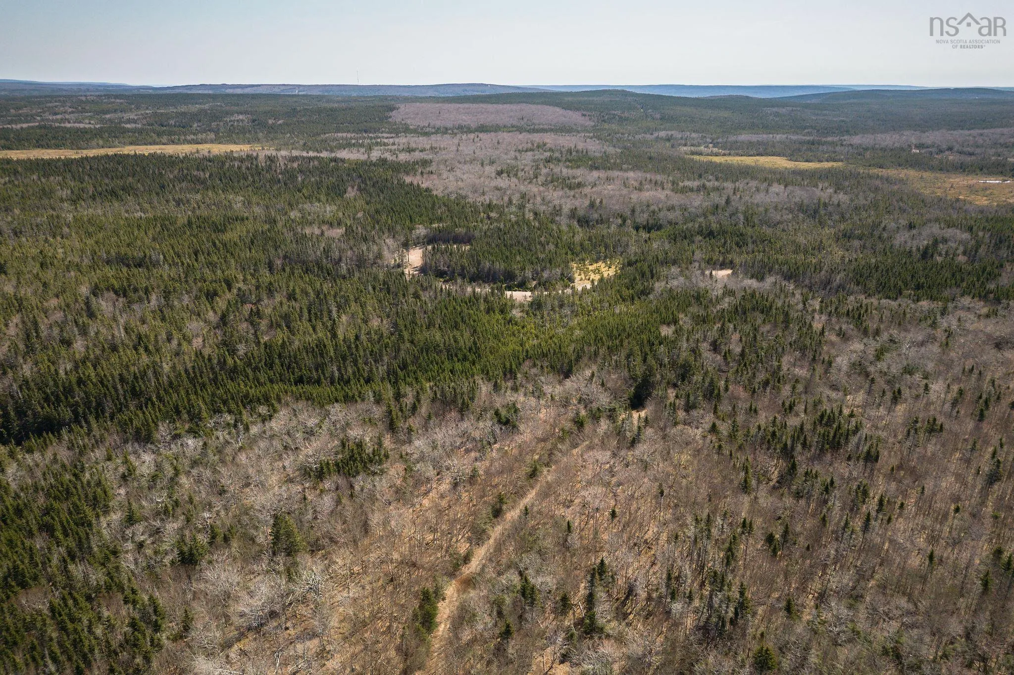 Highway 19, Creignish Ns B9a 1a8, ,Land,For Sale,Highway 19,202411781