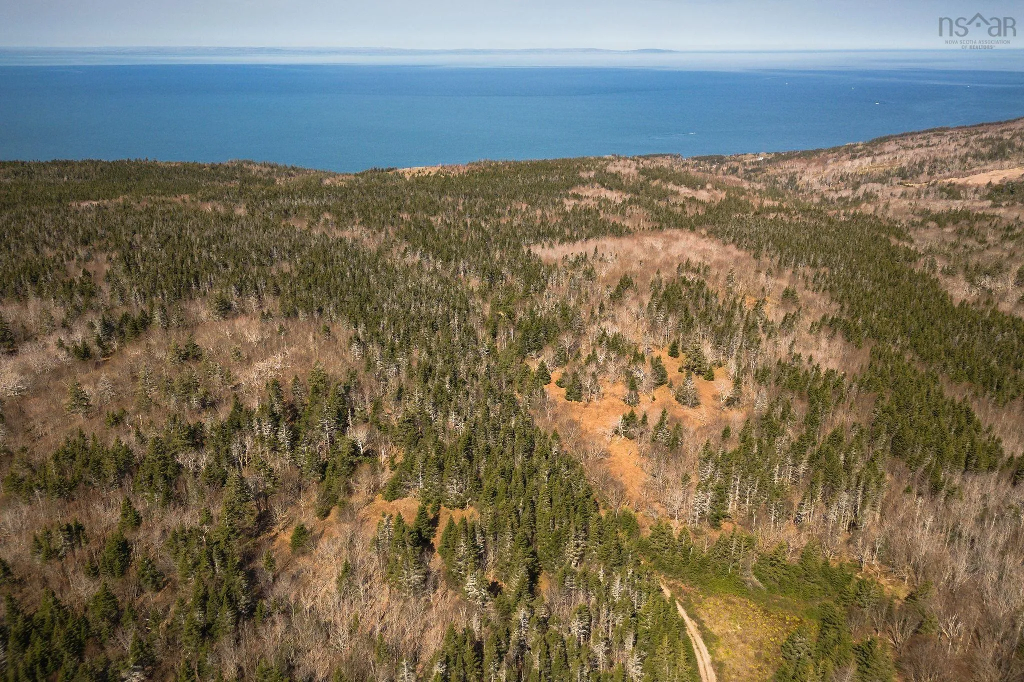 Highway 19, Creignish Ns B9a 1a8, ,Land,For Sale,Highway 19,202411781