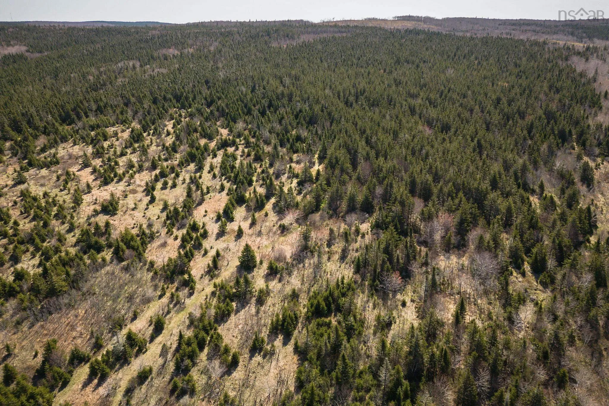 Highway 19, Creignish Ns B9a 1a8, ,Land,For Sale,Highway 19,202411781