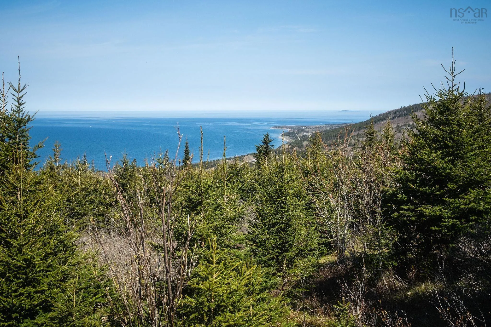 Highway 19, Creignish Ns B9a 1a8, ,Land,For Sale,Highway 19,202411781