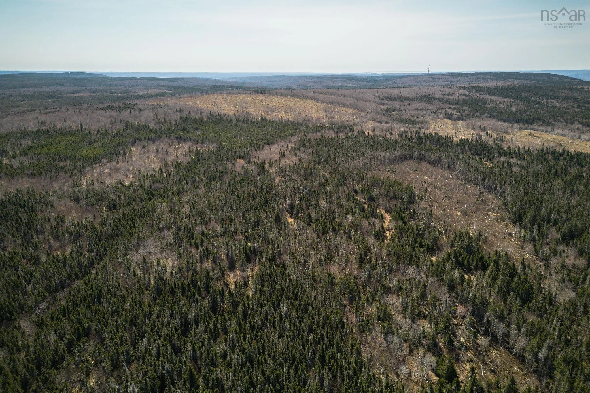 Highway 19, Creignish Ns B9a 1a8, ,Land,For Sale,Highway 19,202411781
