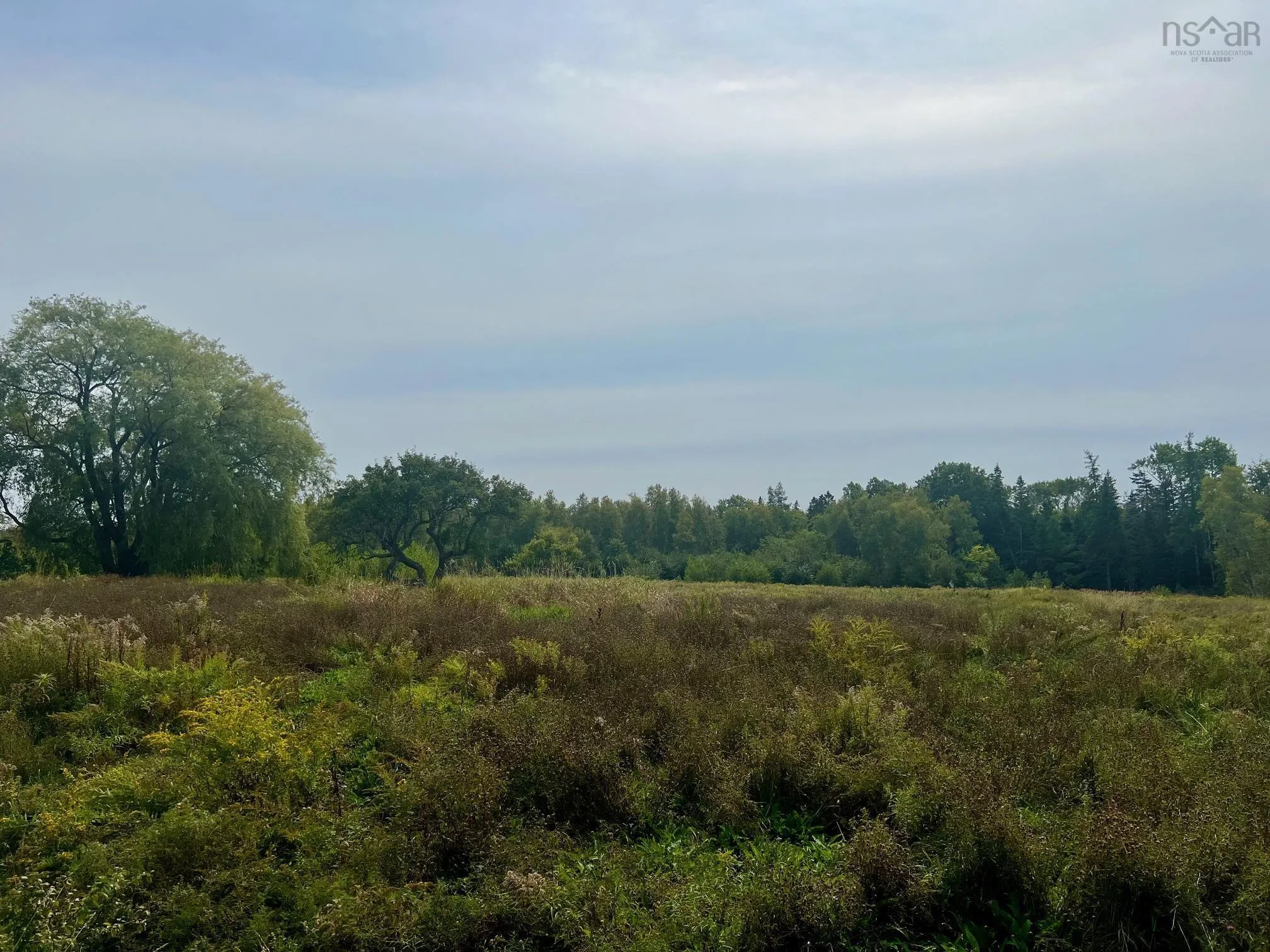 171 Lantz Road, Bramber Ns B0p 2r0, ,Land,For Sale,Lantz,202422765