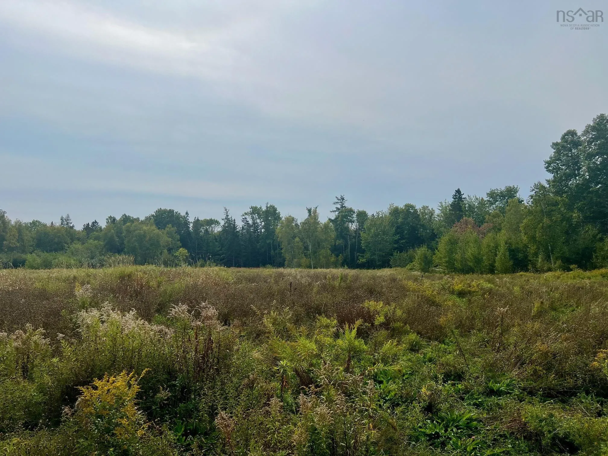 171 Lantz Road, Bramber Ns B0p 2r0, ,Land,For Sale,Lantz,202422765