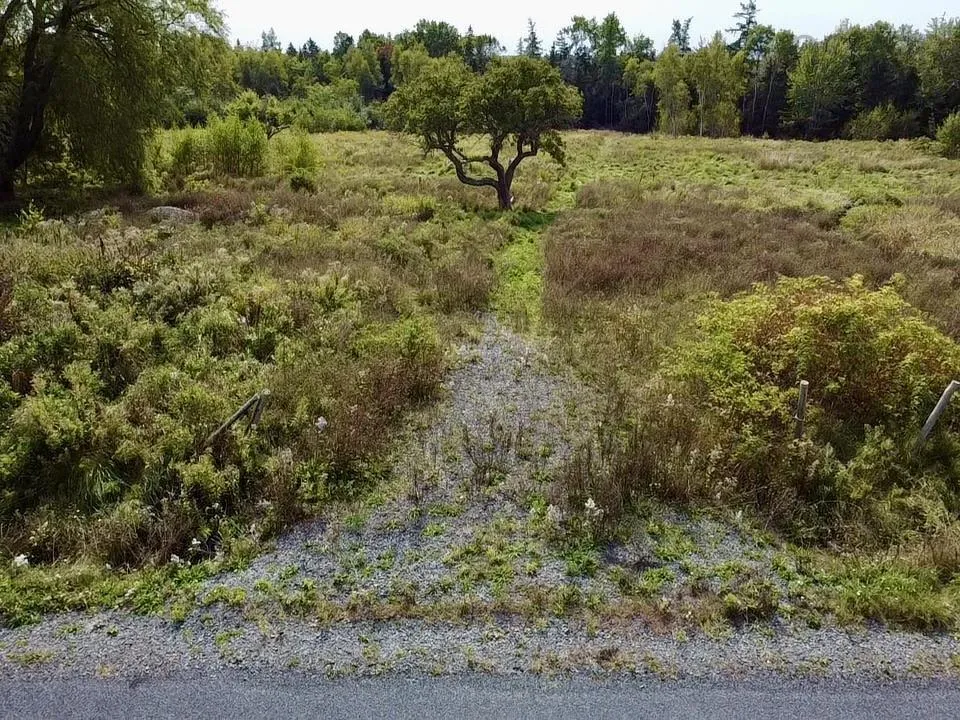 171 Lantz Road, Bramber Ns B0p 2r0, ,Land,For Sale,Lantz,202422765