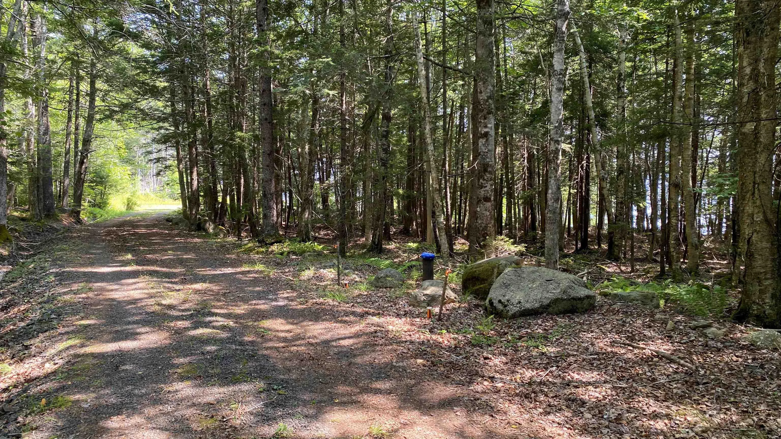 Troop Road, North Range, NS B0W 1H0, ,Land,For Sale,Troop,202521167