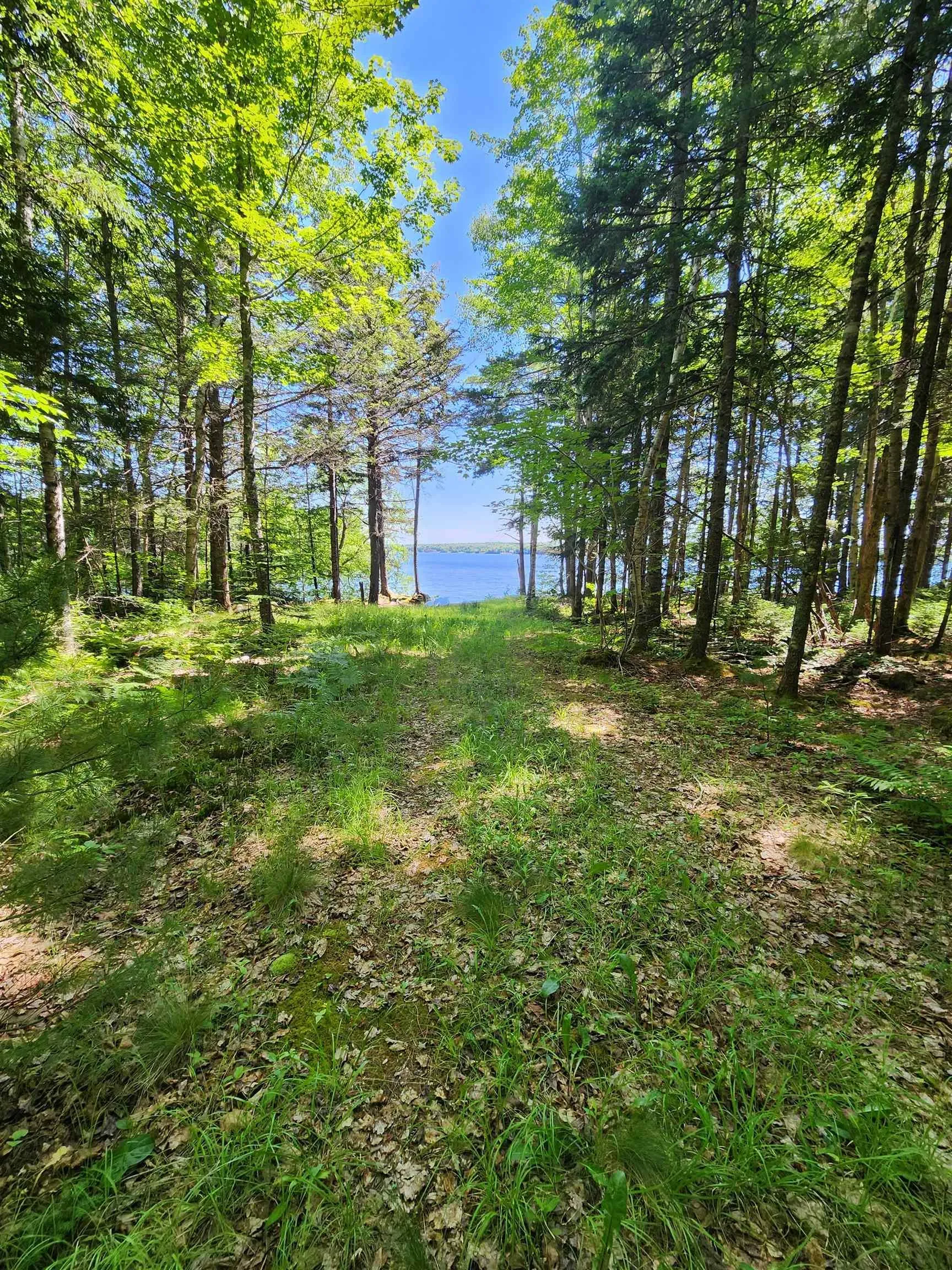 Troop Road, North Range, NS B0W 1H0, ,Land,For Sale,Troop,202521167