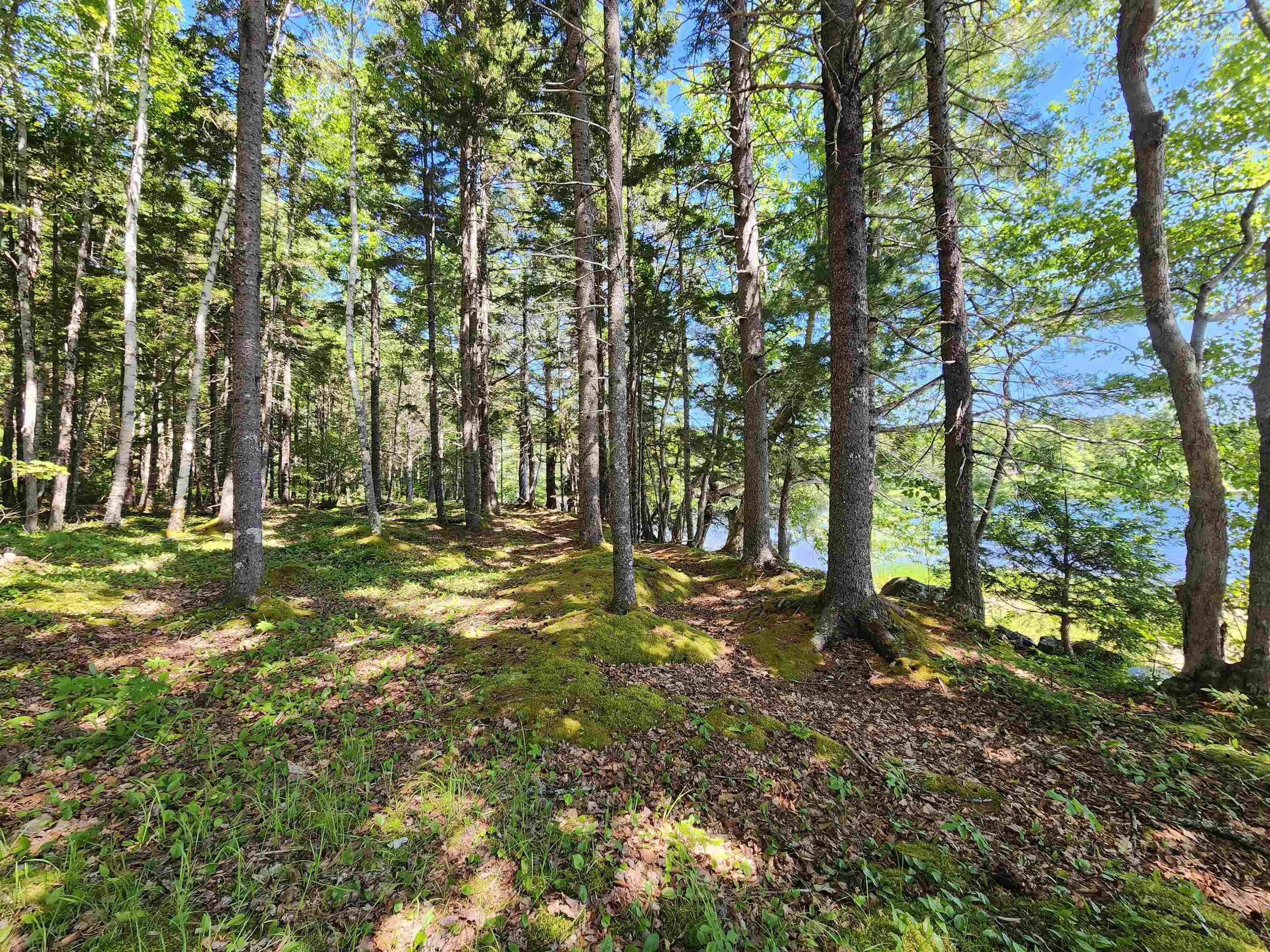 Troop Road, North Range, NS B0W 1H0, ,Land,For Sale,Troop,202521167