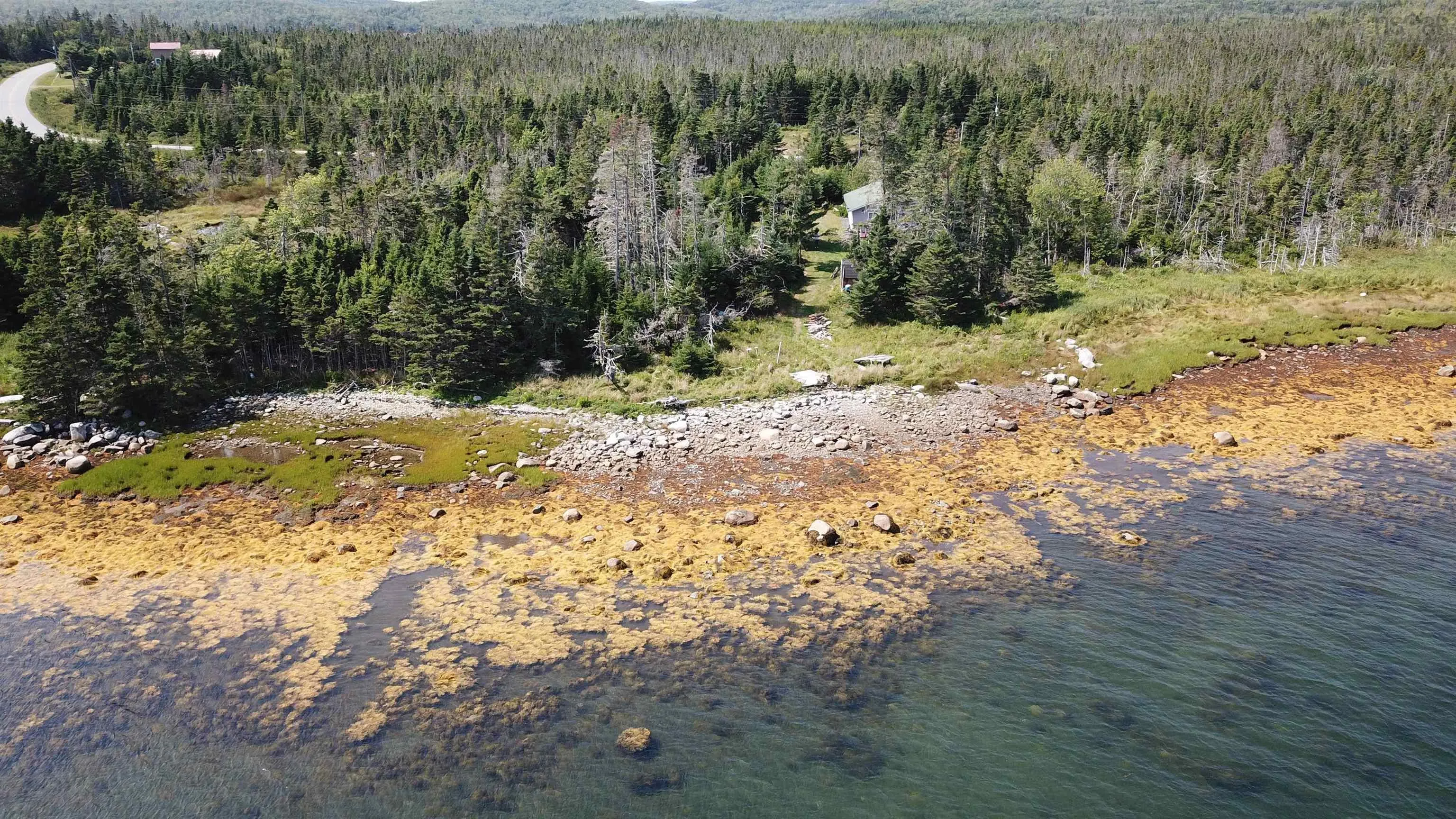 608 Mushaboom Road, Mushaboom, NS B0J 3H0, 3 Bedrooms Bedrooms, ,1 BathroomBathrooms,Residential,For Sale,Mushaboom,202522542