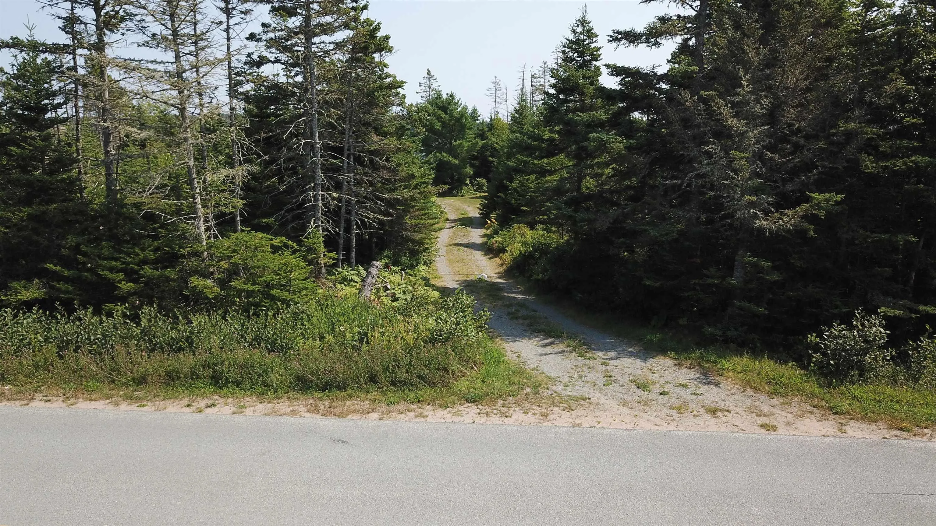 608 Mushaboom Road, Mushaboom, NS B0J 3H0, 3 Bedrooms Bedrooms, ,1 BathroomBathrooms,Residential,For Sale,Mushaboom,202522542