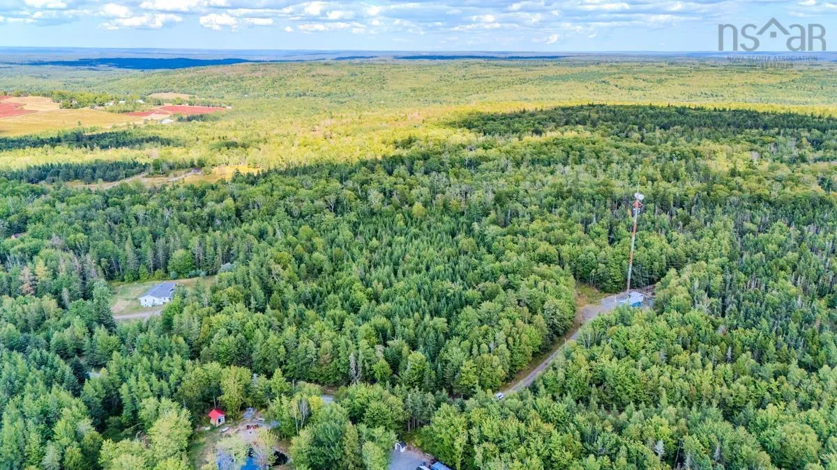 Coach Lane, Wittenburg, NS B0N 2J0, ,Land,For Sale,Coach,202521448