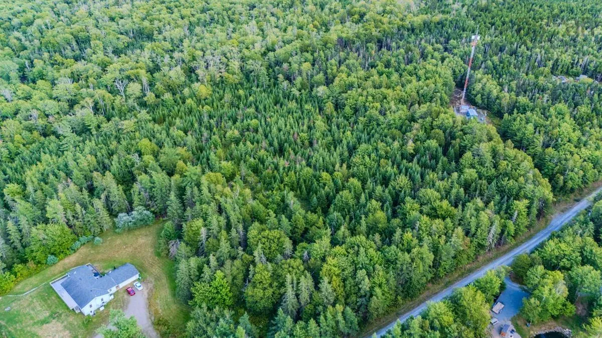 Coach Lane, Wittenburg, NS B0N 2J0, ,Land,For Sale,Coach,202521448