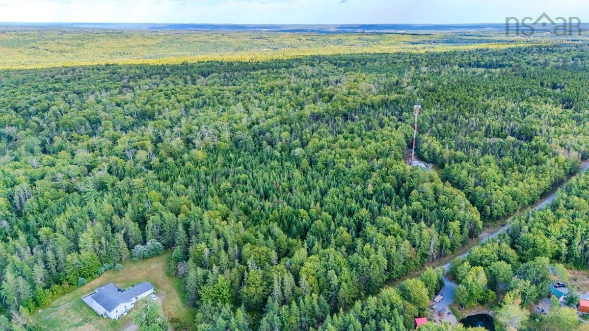 Coach Lane, Wittenburg, NS B0N 2J0, ,Land,For Sale,Coach,202521448