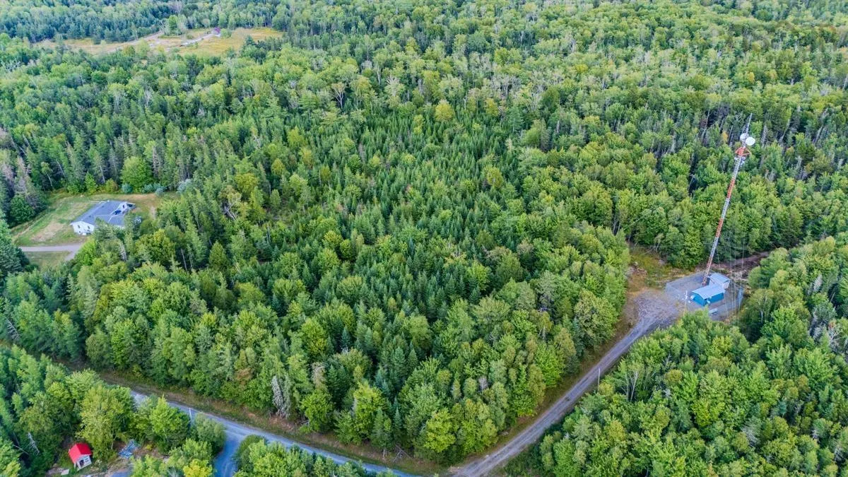 Coach Lane, Wittenburg, NS B0N 2J0, ,Land,For Sale,Coach,202521448