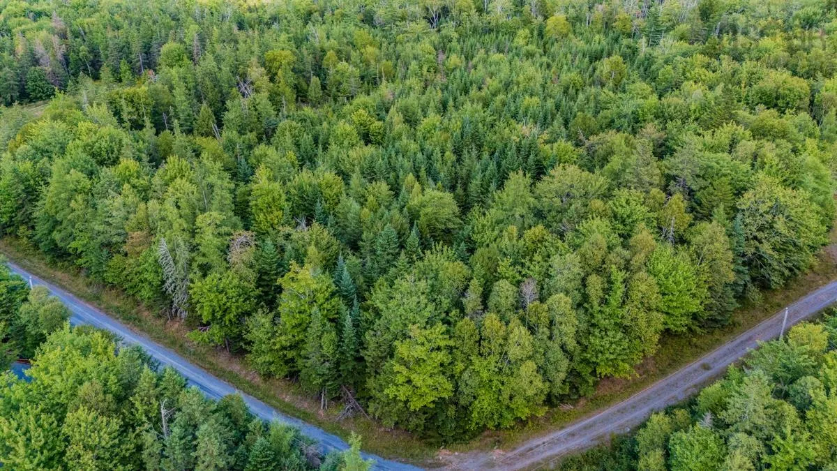 Coach Lane, Wittenburg, NS B0N 2J0, ,Land,For Sale,Coach,202521448