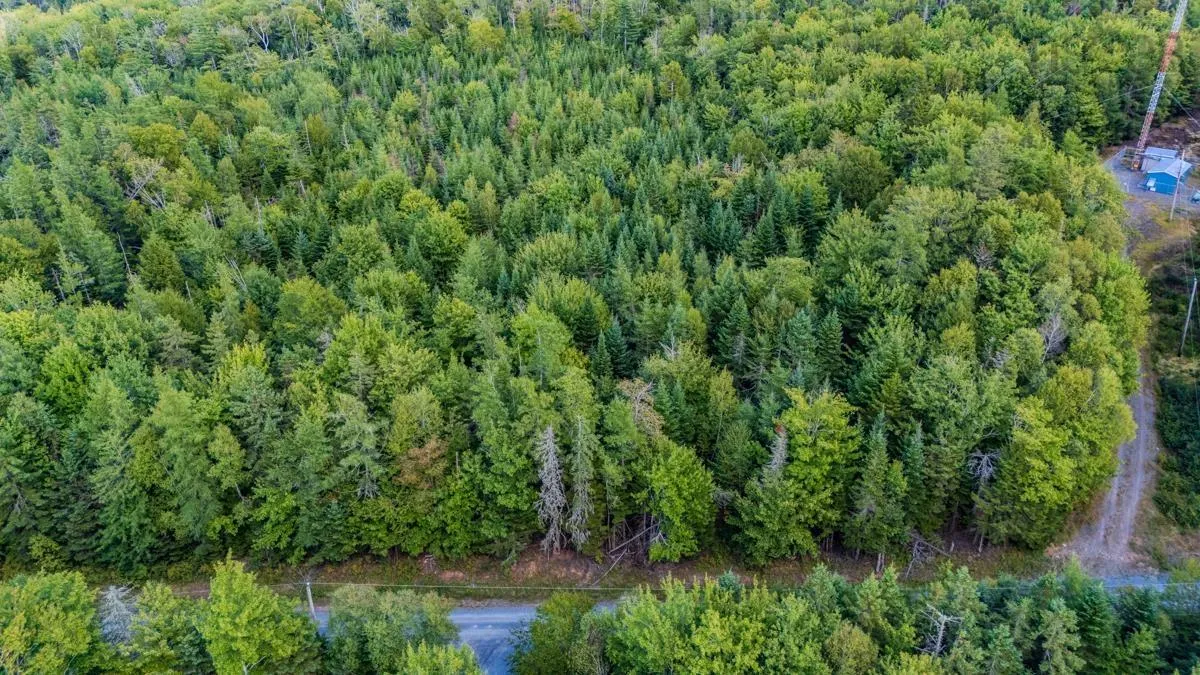 Coach Lane, Wittenburg, NS B0N 2J0, ,Land,For Sale,Coach,202521448