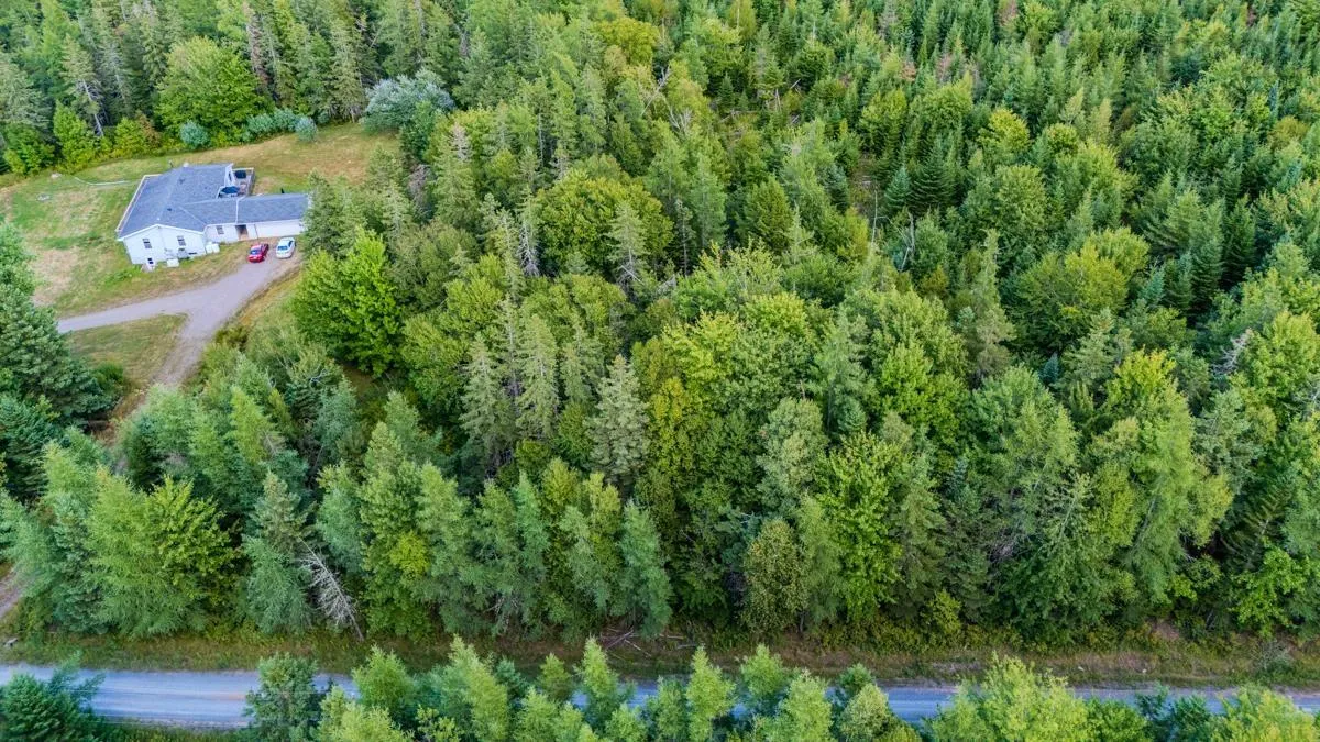 Coach Lane, Wittenburg, NS B0N 2J0, ,Land,For Sale,Coach,202521448