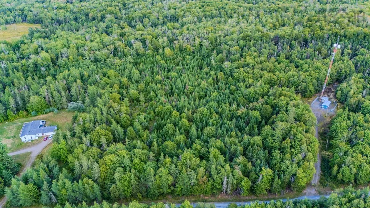 Coach Lane, Wittenburg, NS B0N 2J0, ,Land,For Sale,Coach,202521448
