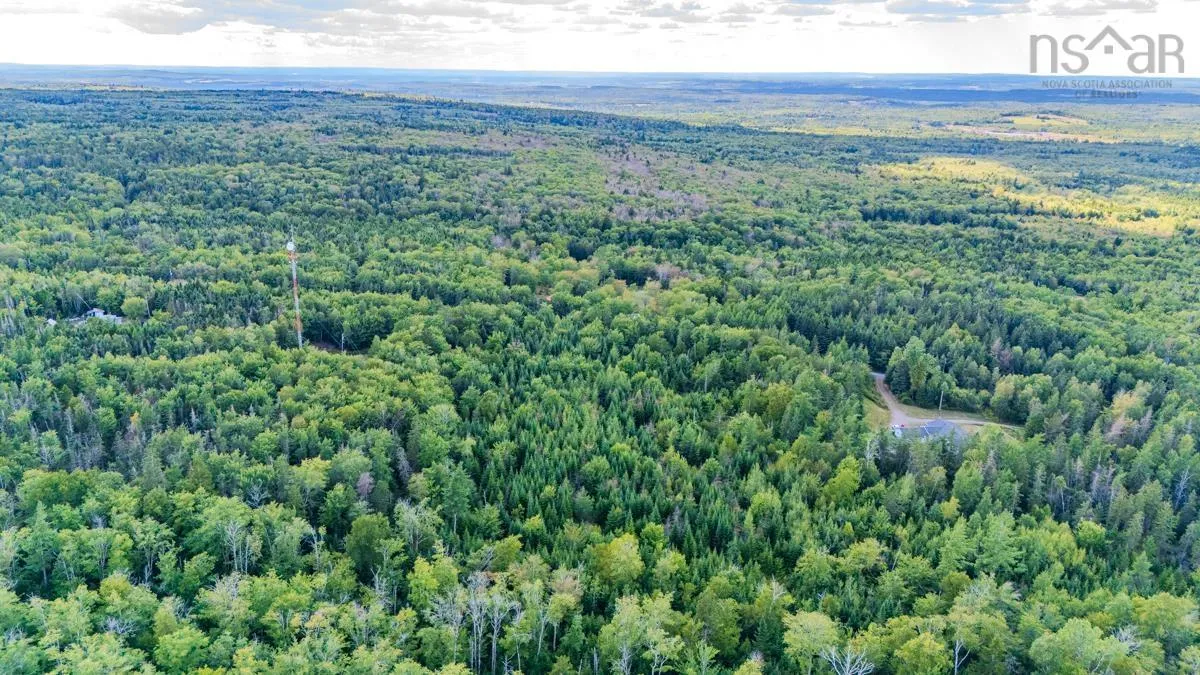 Coach Lane, Wittenburg, NS B0N 2J0, ,Land,For Sale,Coach,202521448