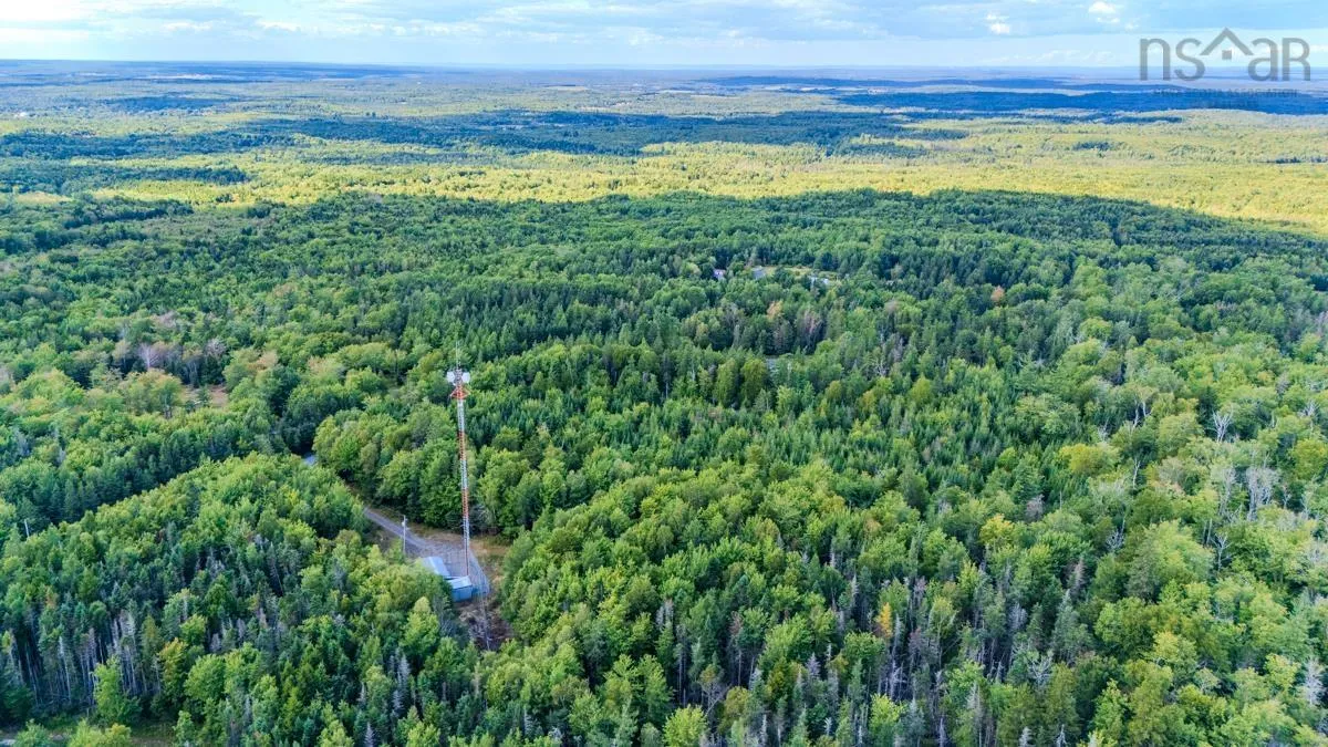 Coach Lane, Wittenburg, NS B0N 2J0, ,Land,For Sale,Coach,202521448