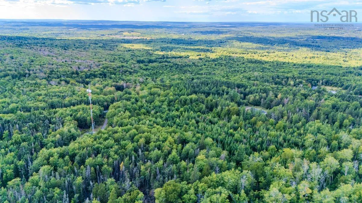 Coach Lane, Wittenburg, NS B0N 2J0, ,Land,For Sale,Coach,202521448