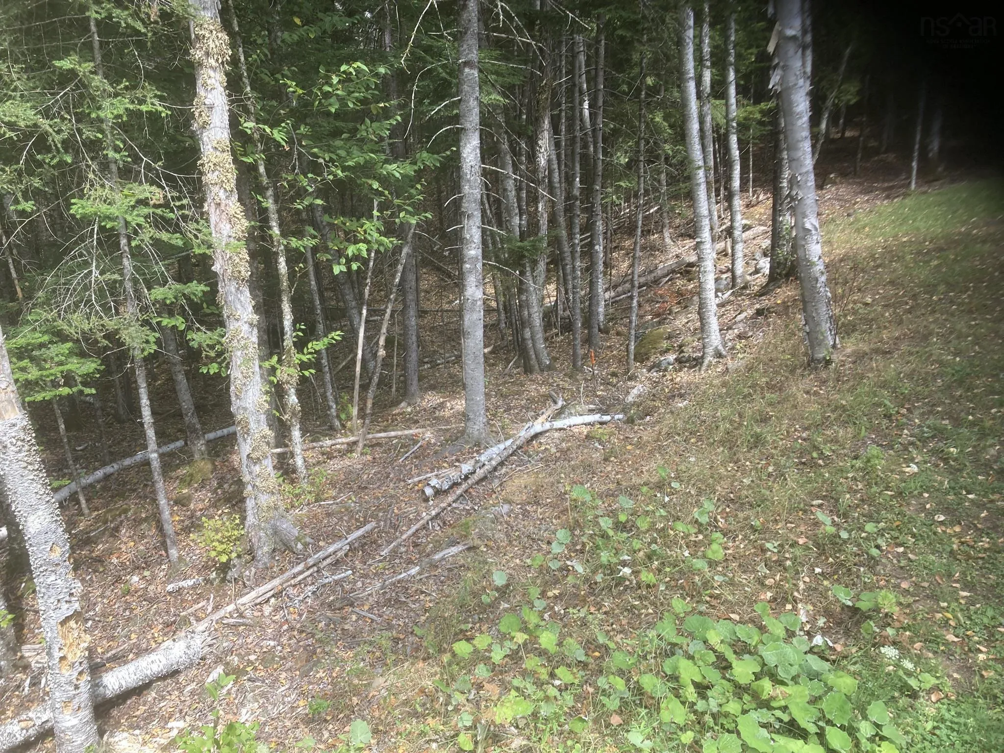 Piper Lane, Vaughan, NS B0N 2T0, ,Land,For Sale,Piper,202512591