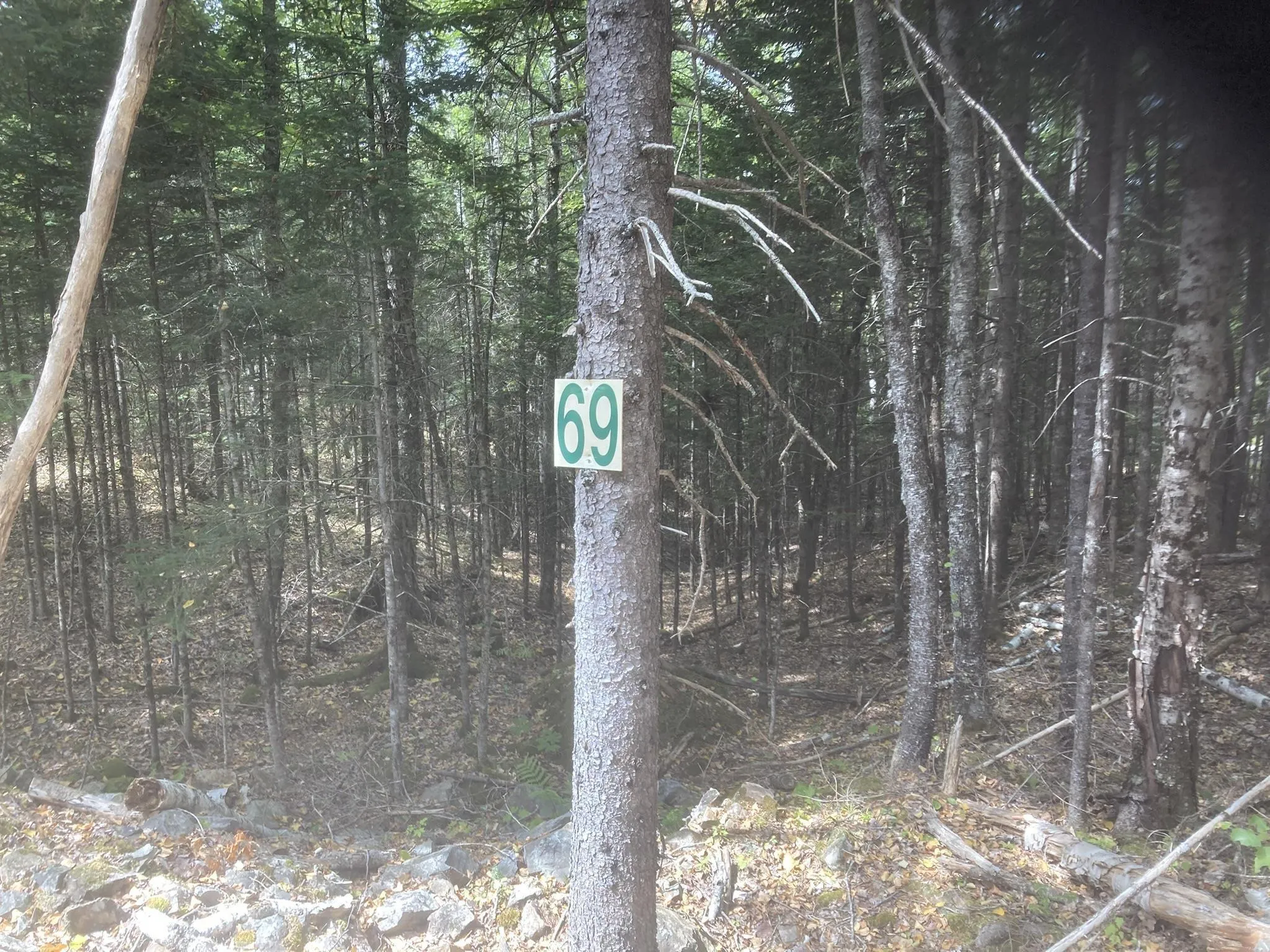 Piper Lane, Vaughan, NS B0N 2T0, ,Land,For Sale,Piper,202512591