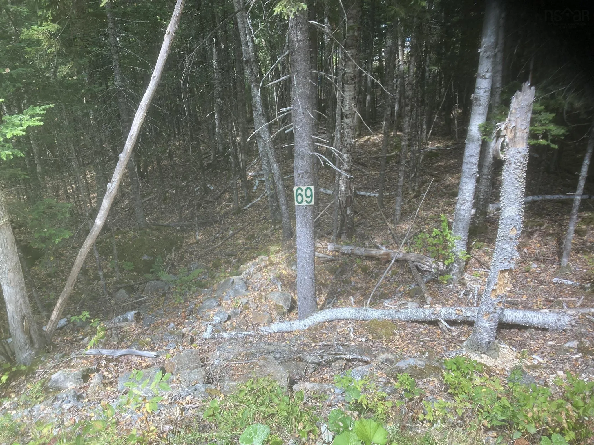 Piper Lane, Vaughan, NS B0N 2T0, ,Land,For Sale,Piper,202512591