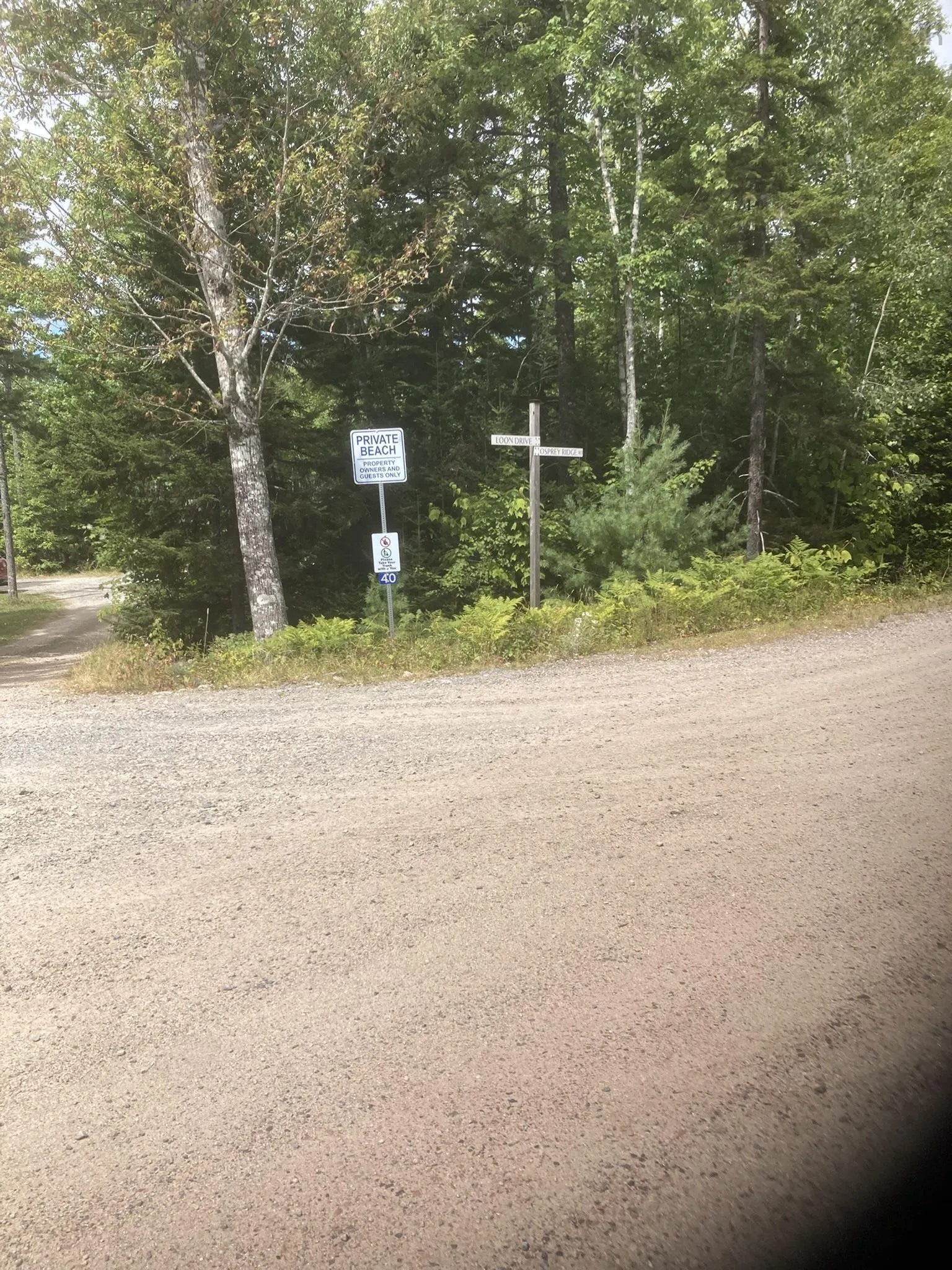 Piper Lane, Vaughan, NS B0N 2T0, ,Land,For Sale,Piper,202512591