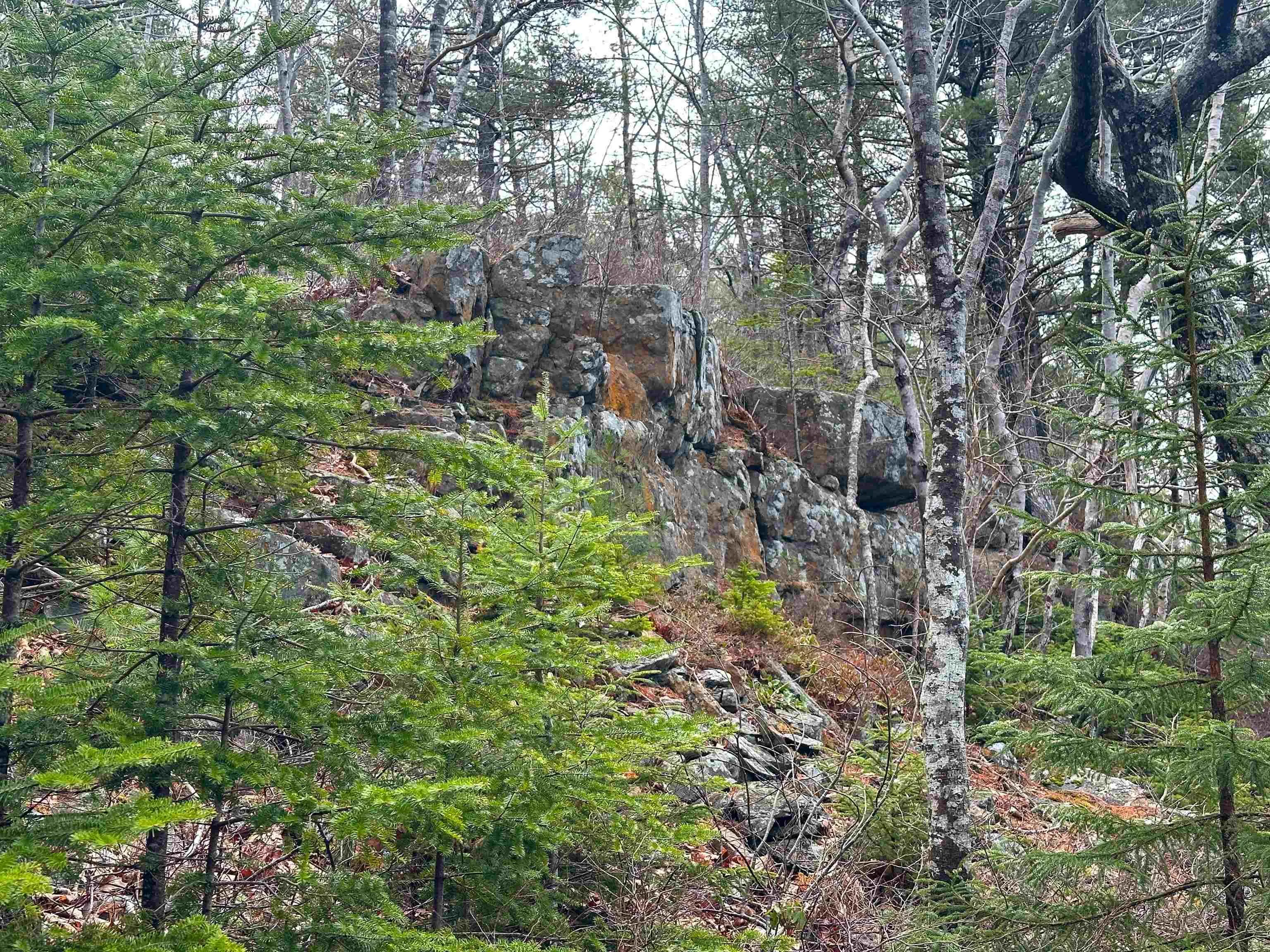 329 Highway, Deep Cove, NS B0J 1T0, ,Land,For Sale,329,202513338