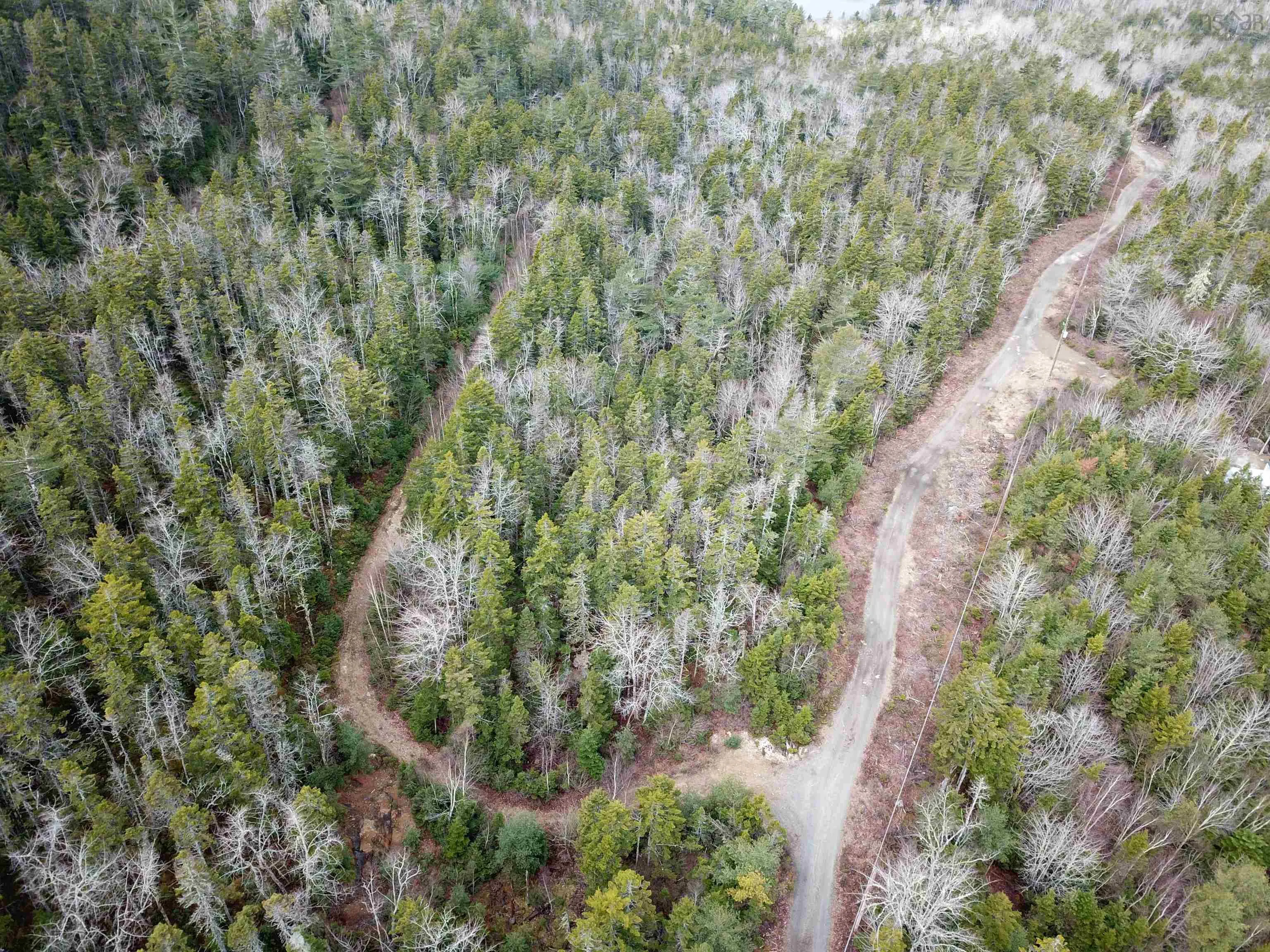 329 Highway, Deep Cove, NS B0J 1T0, ,Land,For Sale,329,202513338