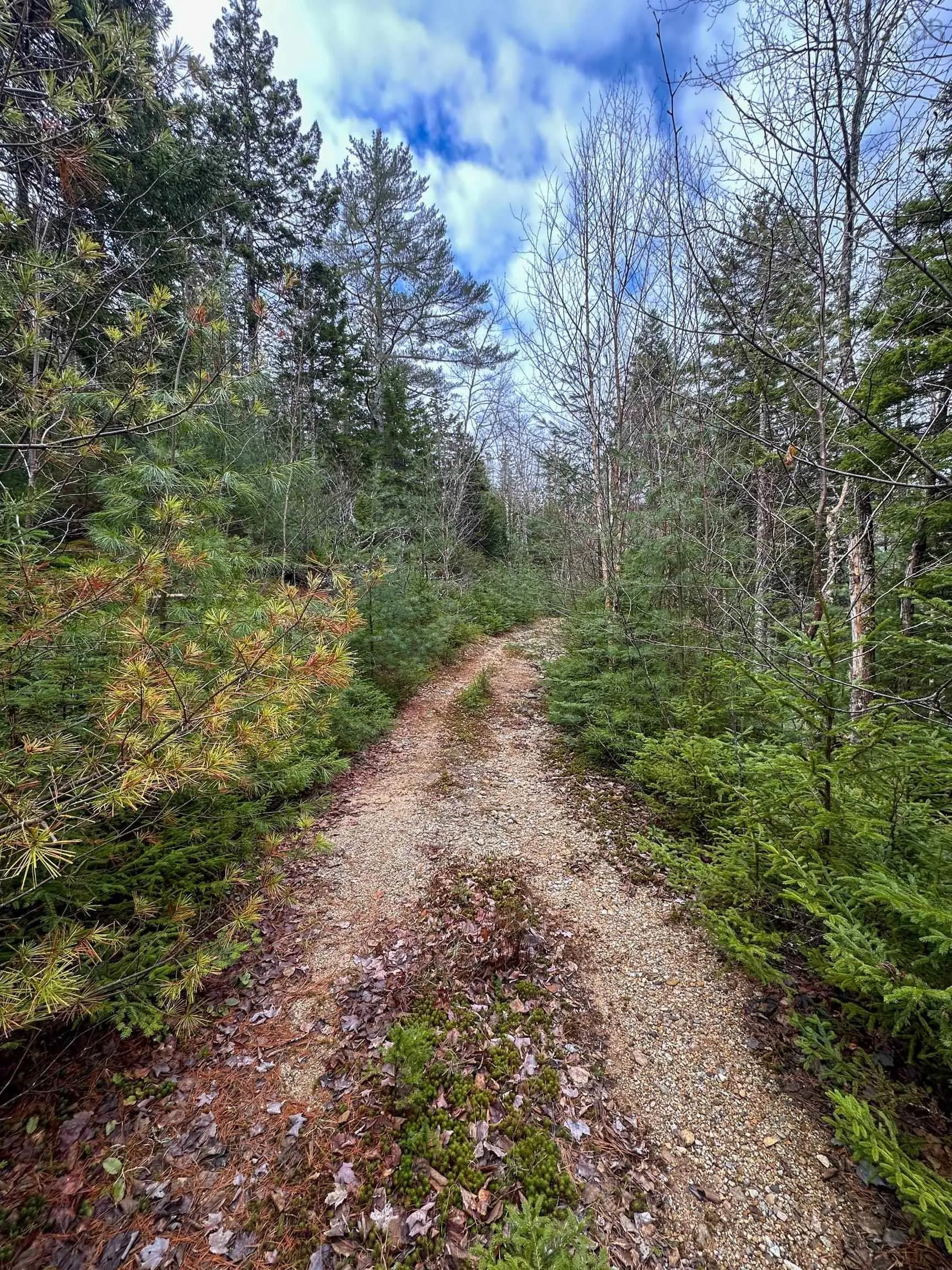 329 Highway, Deep Cove, NS B0J 1T0, ,Land,For Sale,329,202513338