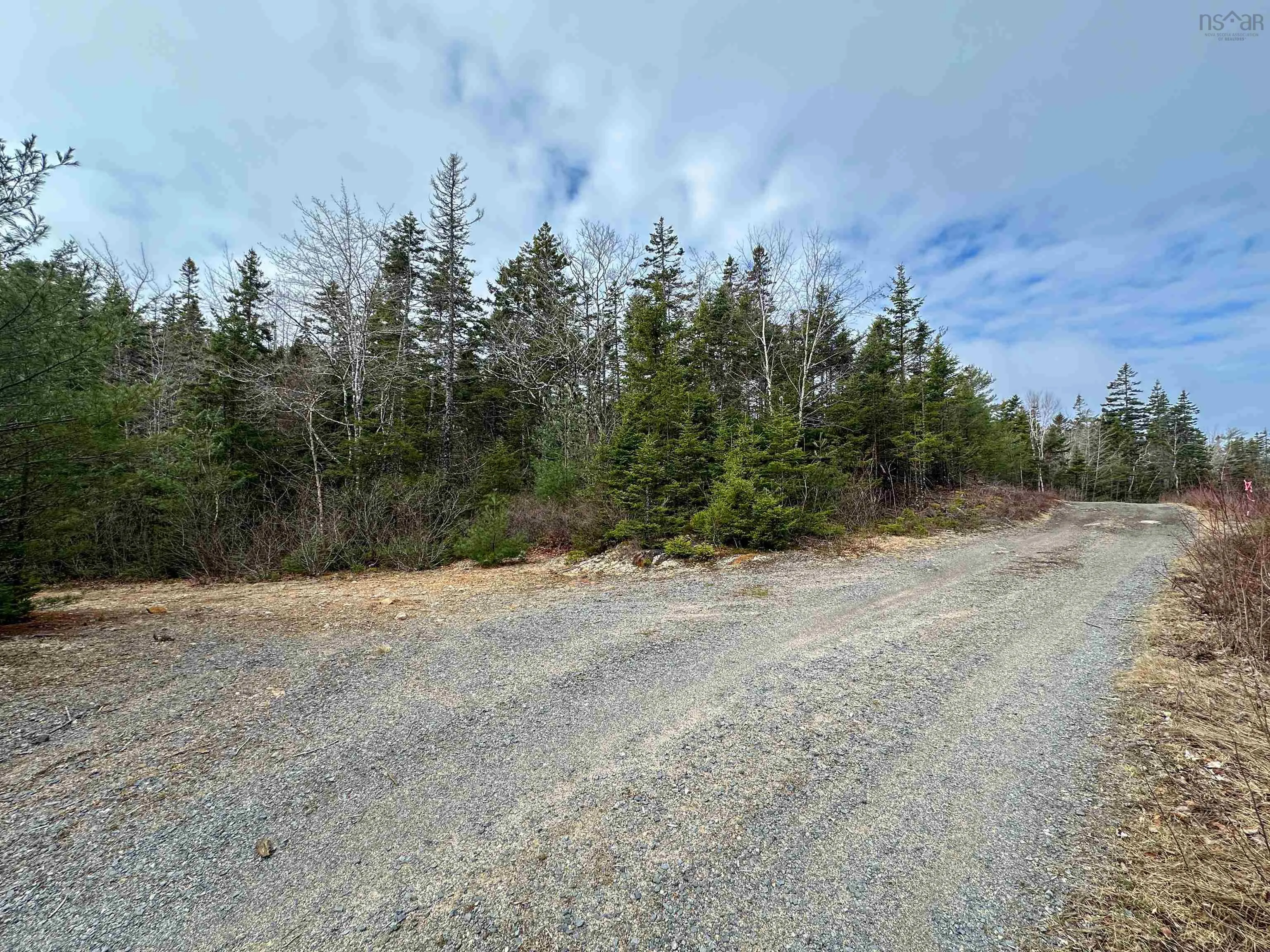 329 Highway, Deep Cove, NS B0J 1T0, ,Land,For Sale,329,202513338