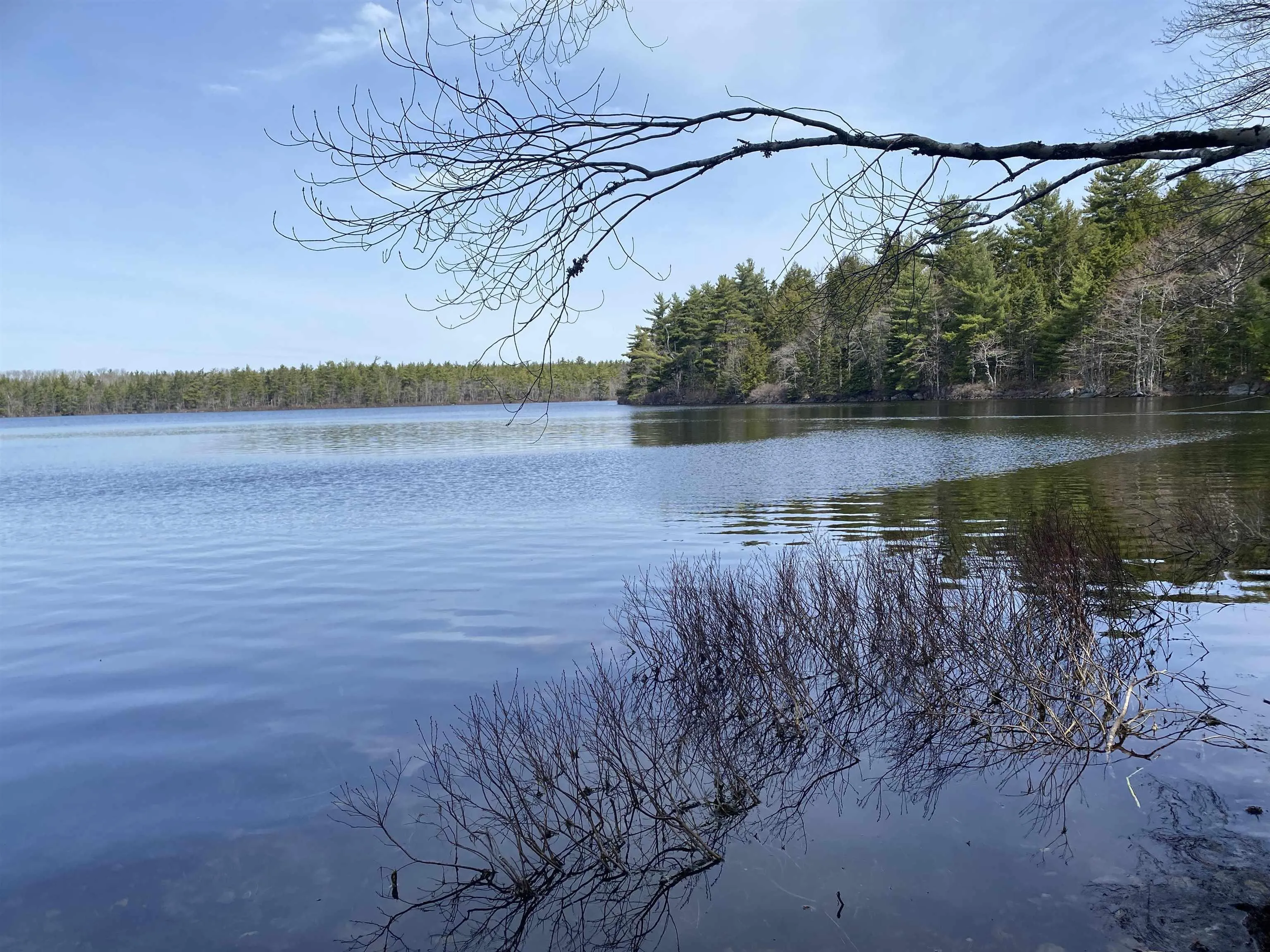 Shingle Lake Road Lot 16, New Elm Ns B4v 7m3, ,Land,For Sale,Shingle Lake,202509600