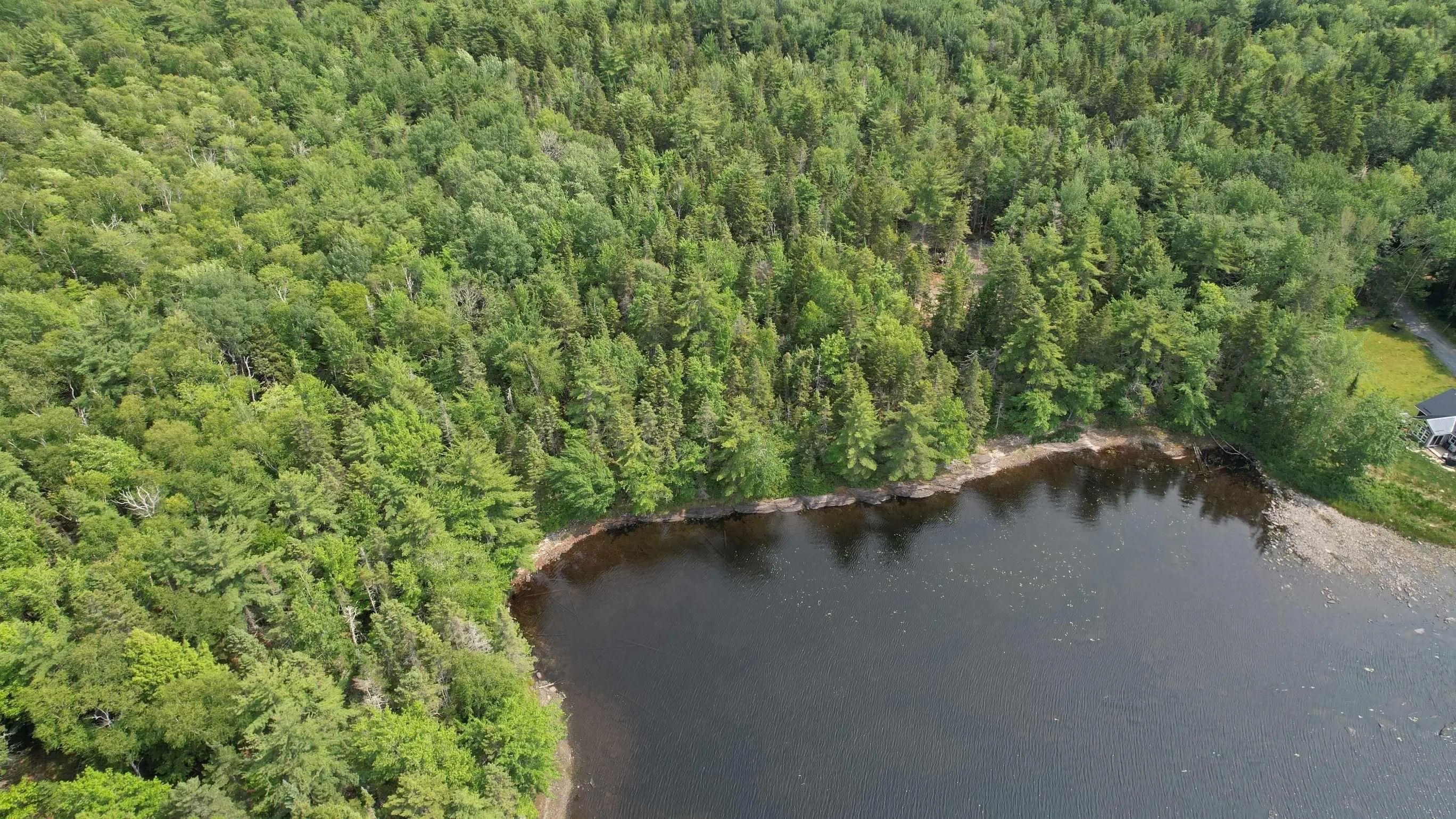 Shingle Lake Road Lot 16, New Elm Ns B4v 7m3, ,Land,For Sale,Shingle Lake,202509600