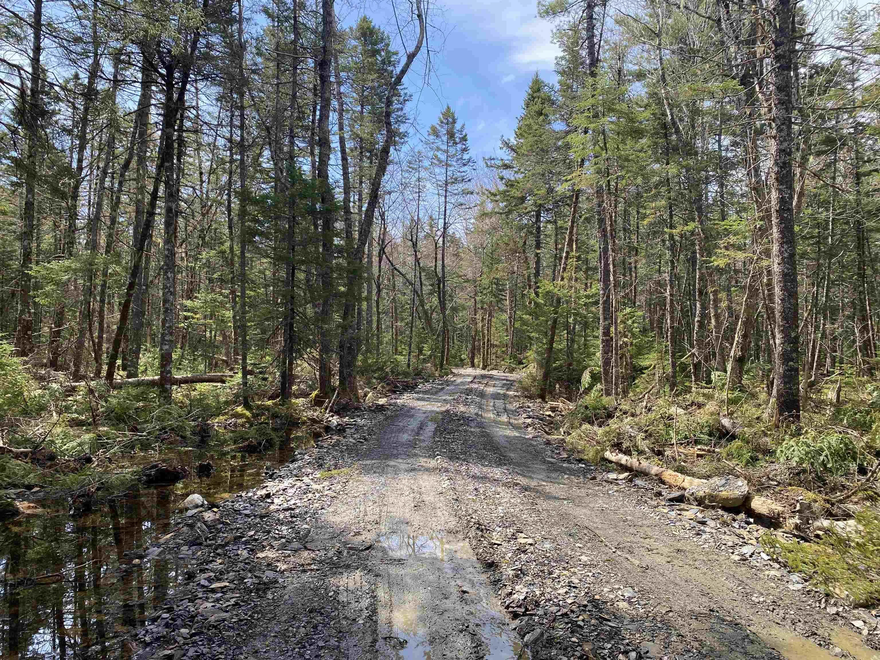 Shingle Lake Road Lot 16, New Elm Ns B4v 7m3, ,Land,For Sale,Shingle Lake,202509600