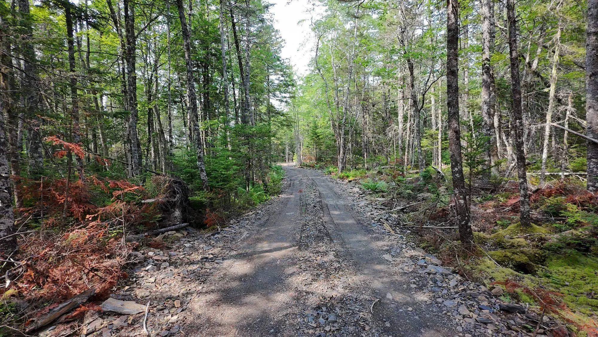Shingle Lake Road Lot 16, New Elm Ns B4v 7m3, ,Land,For Sale,Shingle Lake,202509600