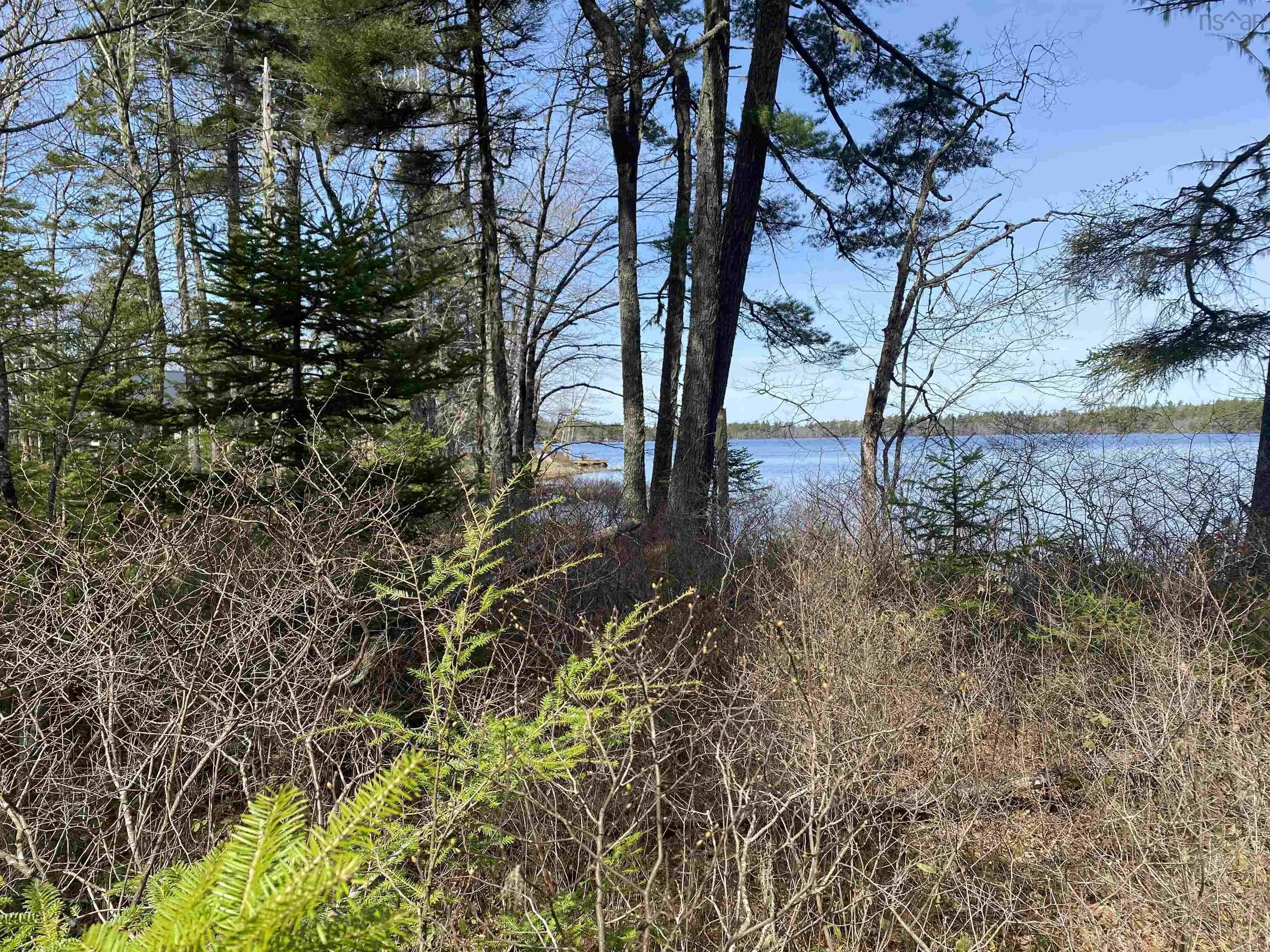 Shingle Lake Road Lot 16, New Elm Ns B4v 7m3, ,Land,For Sale,Shingle Lake,202509600