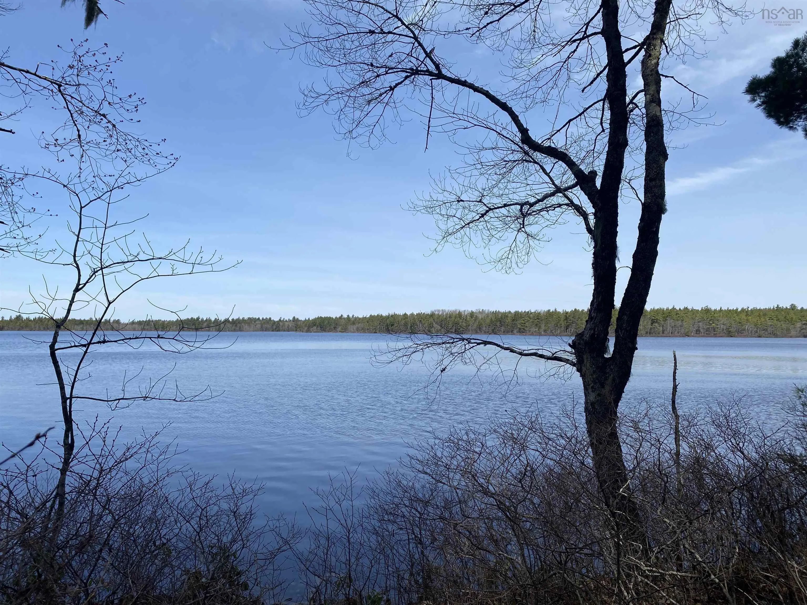 Shingle Lake Road Lot 16, New Elm Ns B4v 7m3, ,Land,For Sale,Shingle Lake,202509600