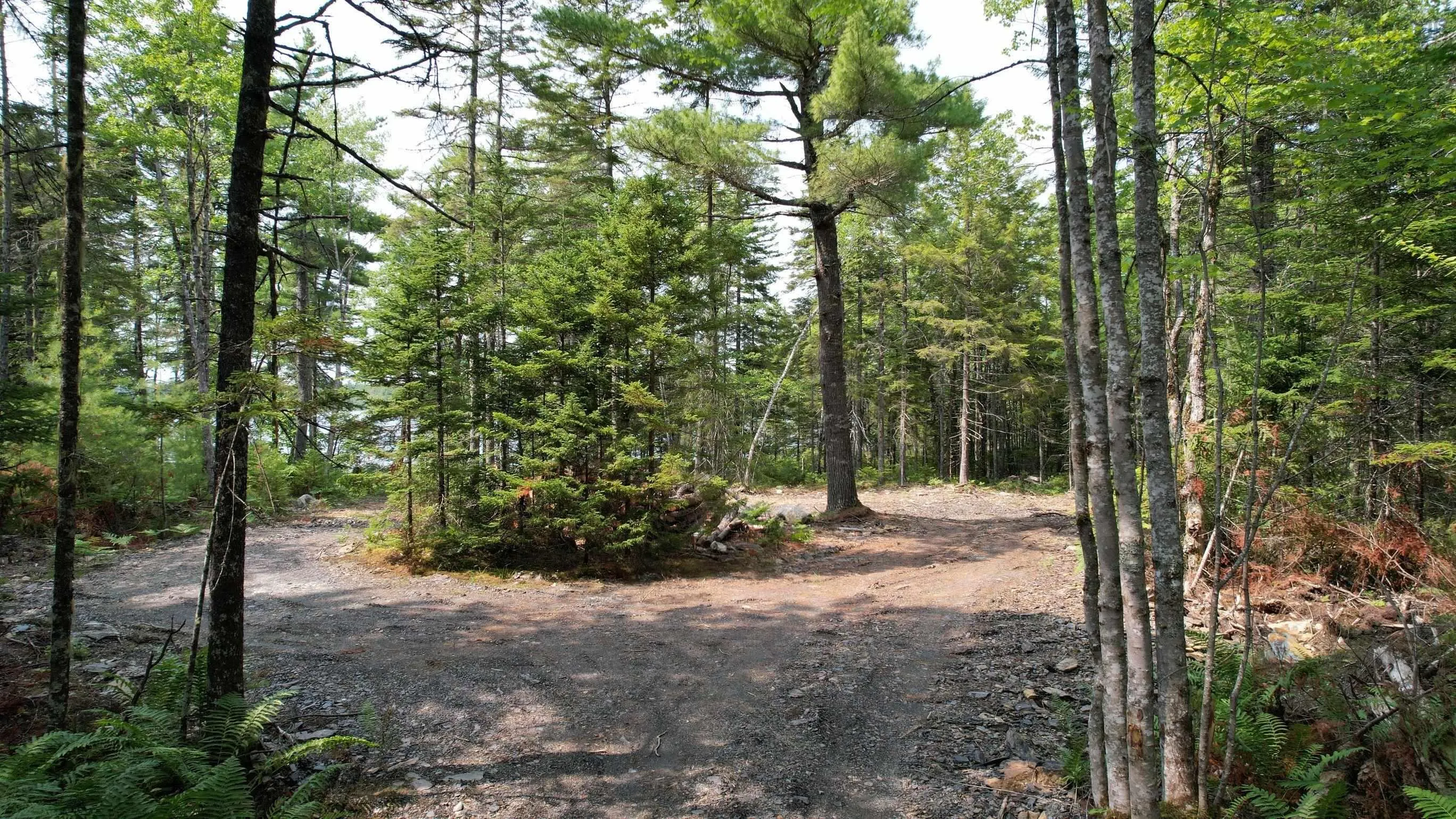 Shingle Lake Road Lot 16, New Elm Ns B4v 7m3, ,Land,For Sale,Shingle Lake,202509600